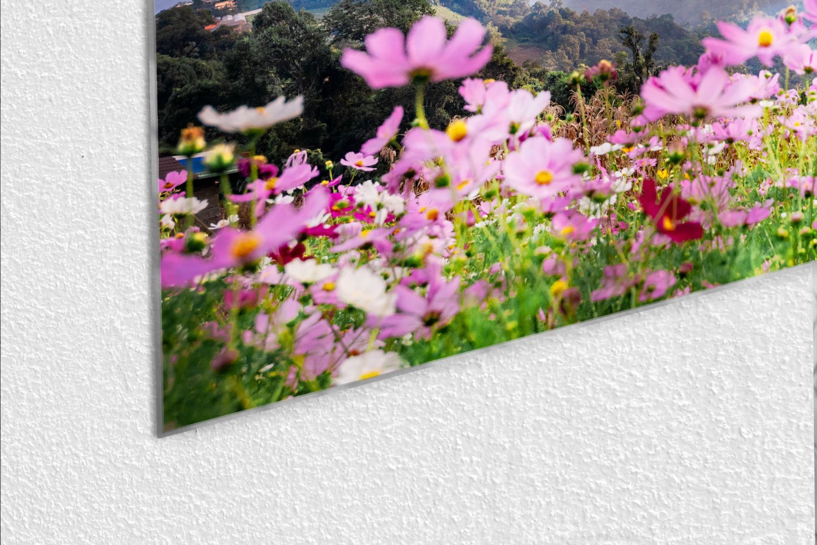Whiteboard van glas - Magneetbord - Vallei Chiang Mai