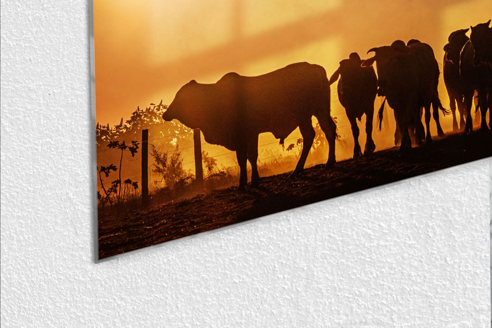 Whiteboard van glas - Magneetbord - Dieren op de horizon