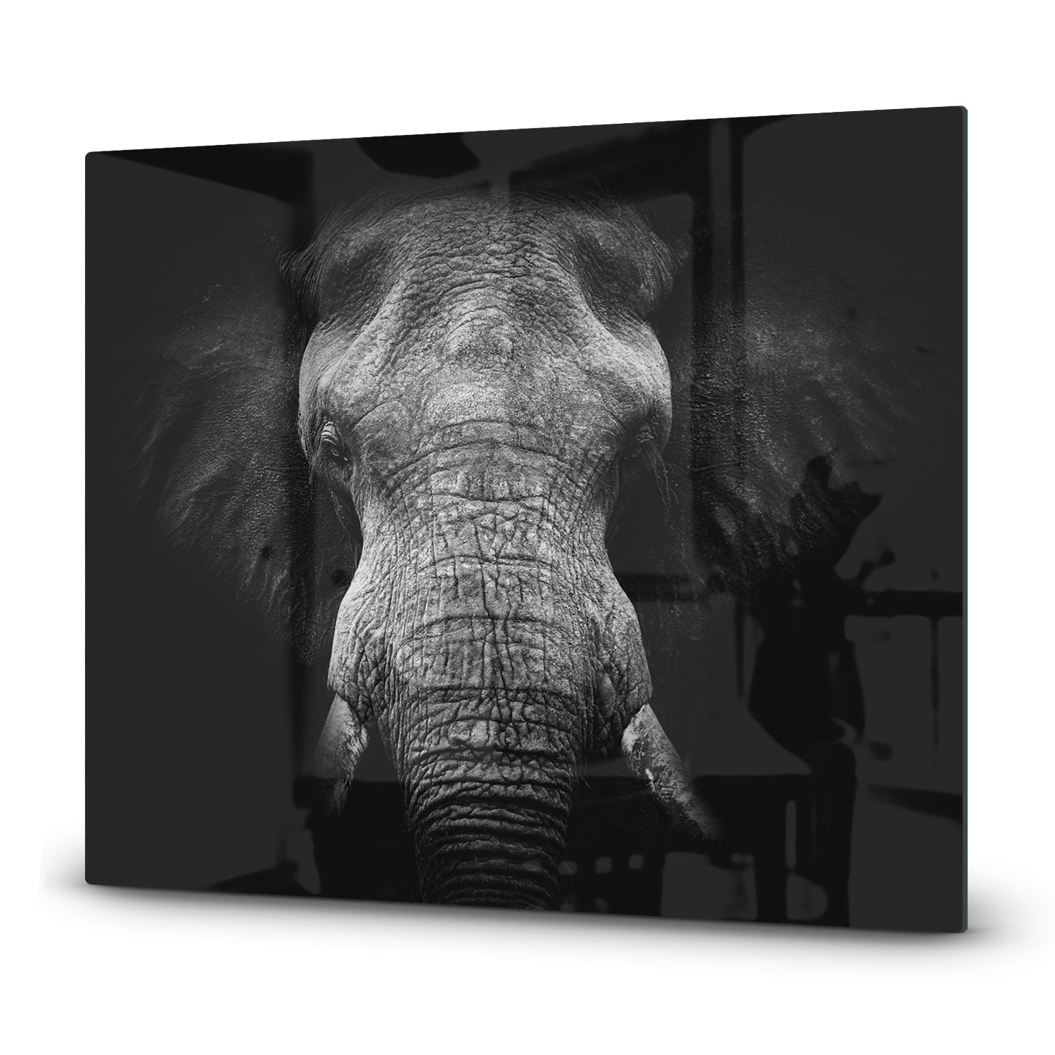 Inductiebeschermer - Gehard Glas - Olifant in zwart/wit