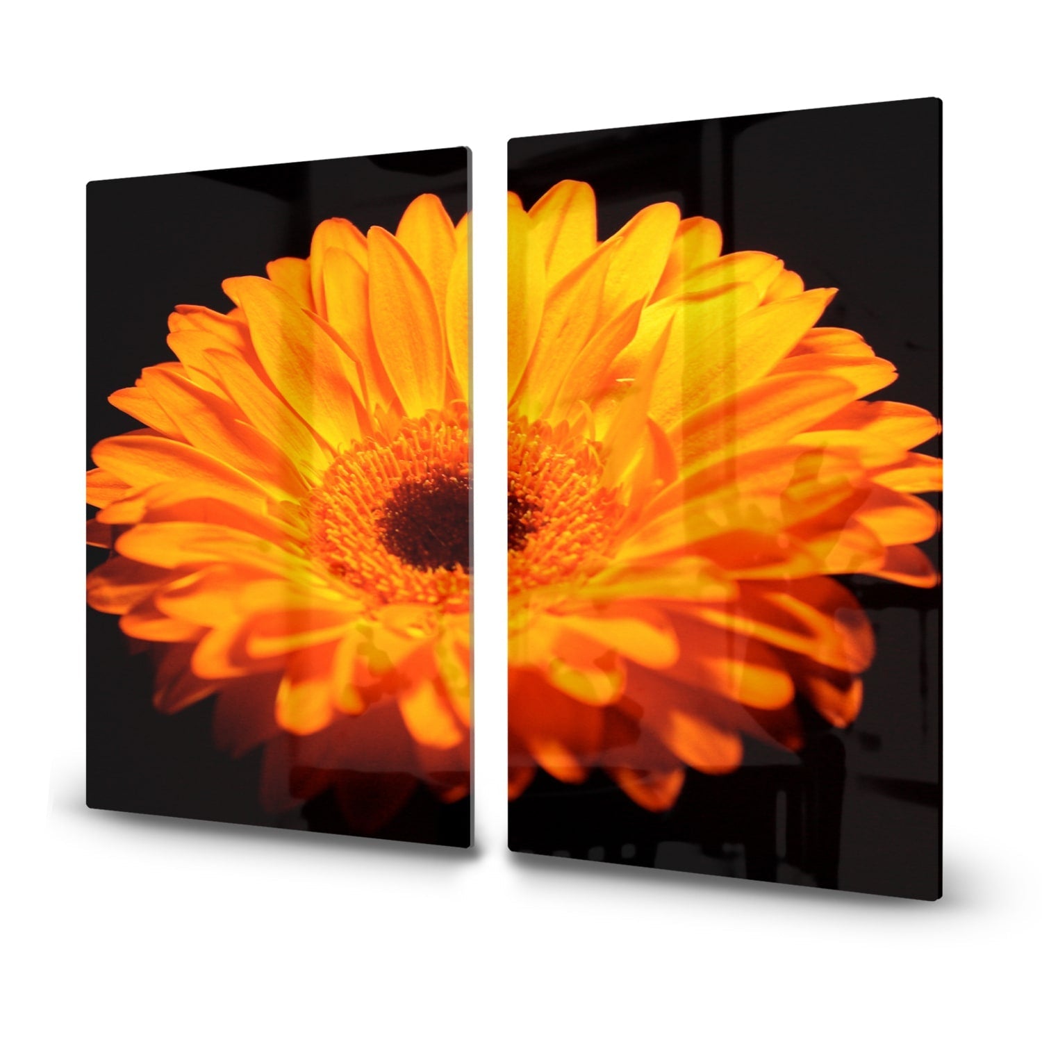 Inductiebeschermer - Gehard Glas - Gerbera Jamesonii