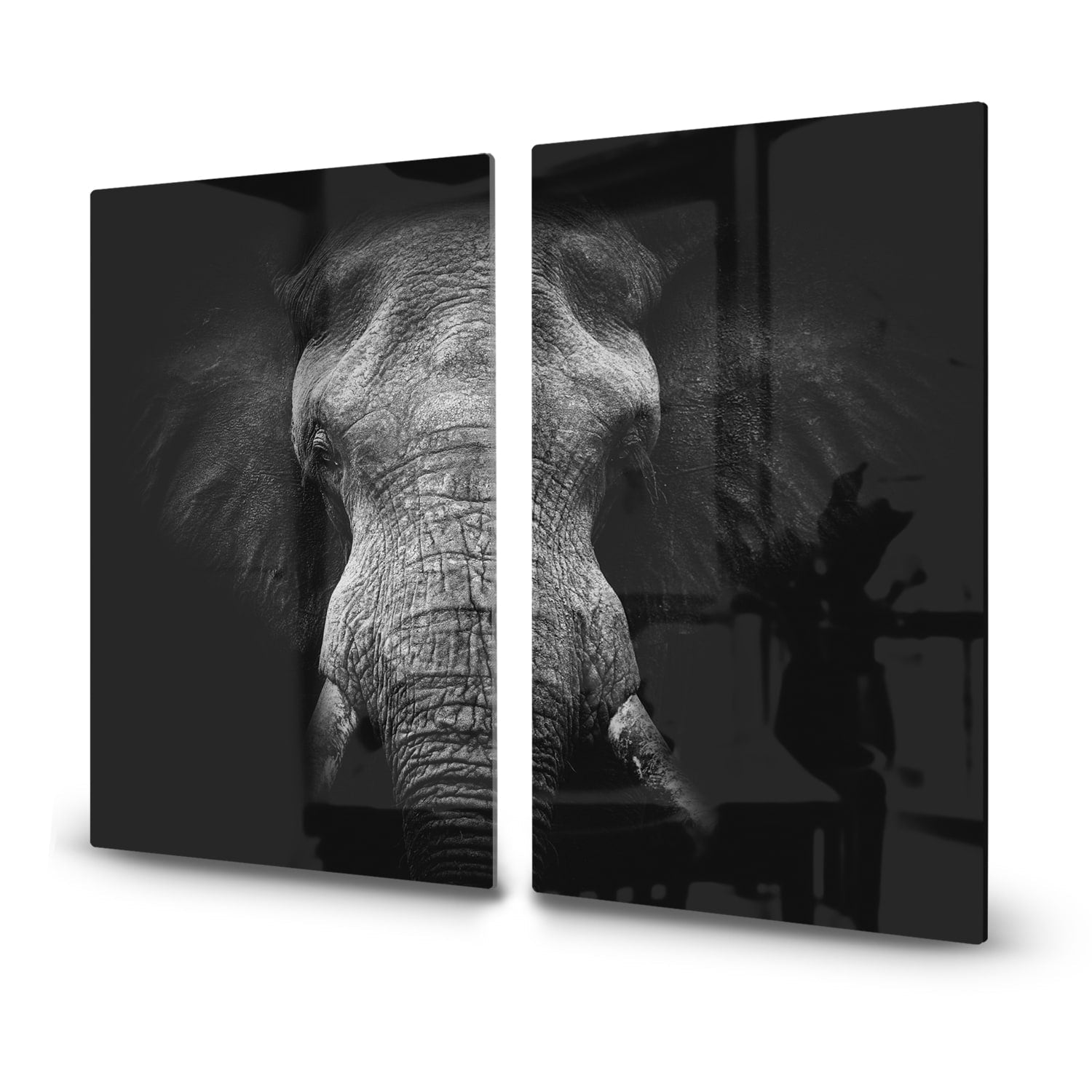 Inductiebeschermer - Gehard Glas - Olifant in zwart/wit