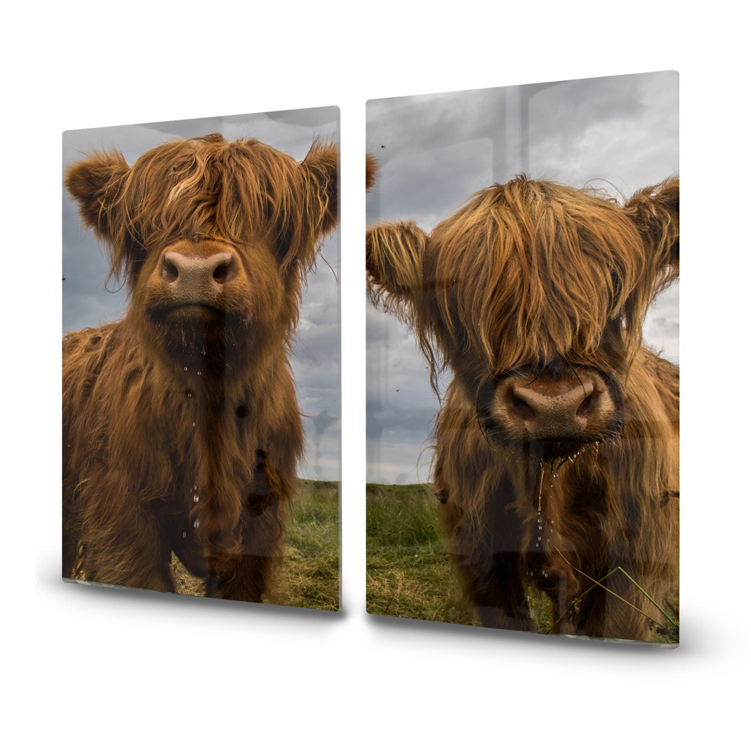 Inductiebeschermer - Gehard Glas - Twee Schotse Hooglanders