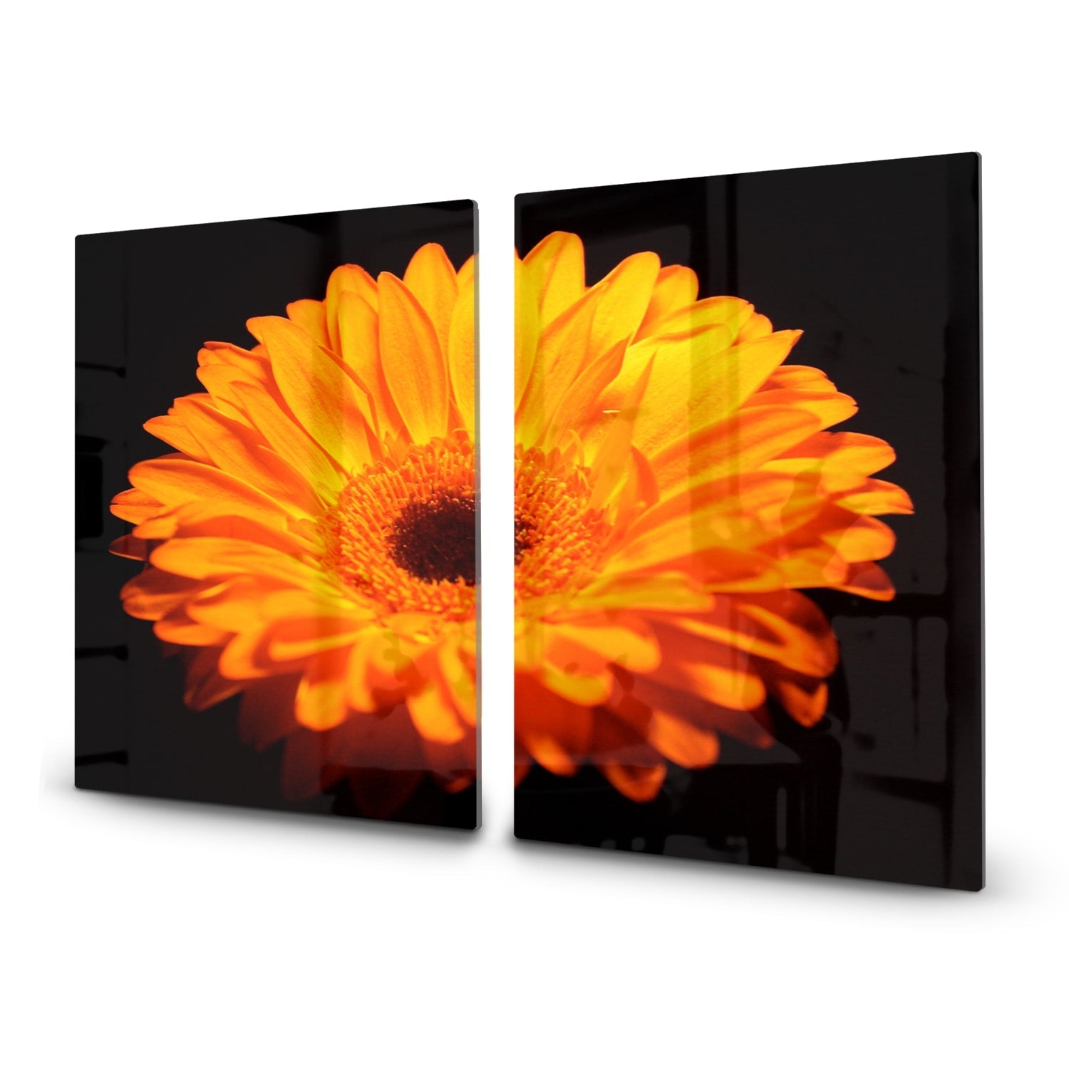 Inductiebeschermer - Gehard Glas - Gerbera Jamesonii