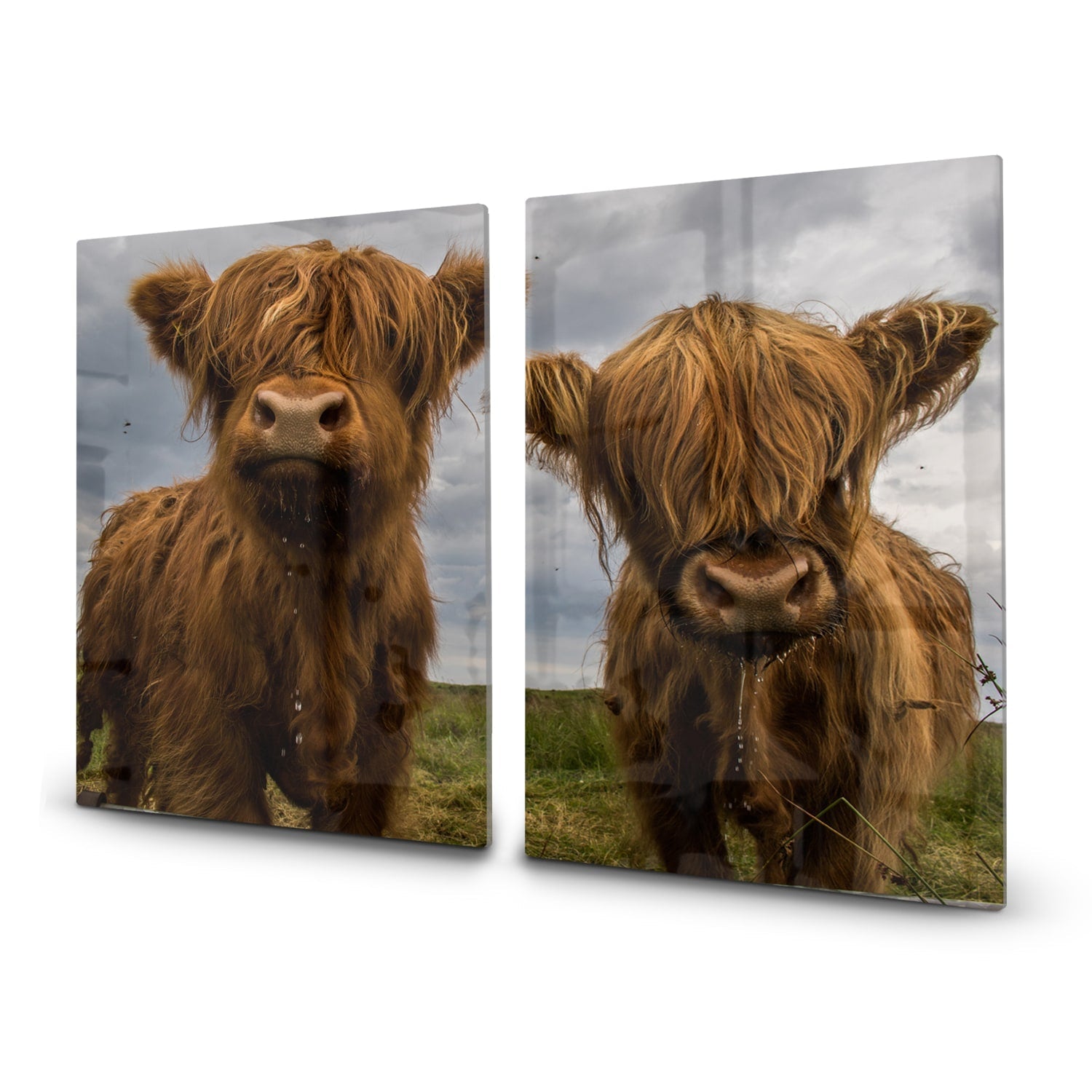 Inductiebeschermer - Gehard Glas - Twee Schotse Hooglanders