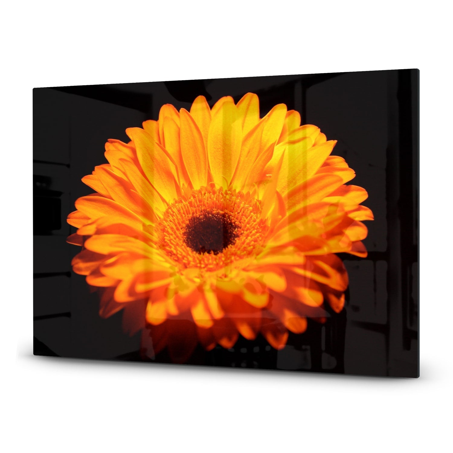 Inductiebeschermer - Gehard Glas - Gerbera Jamesonii