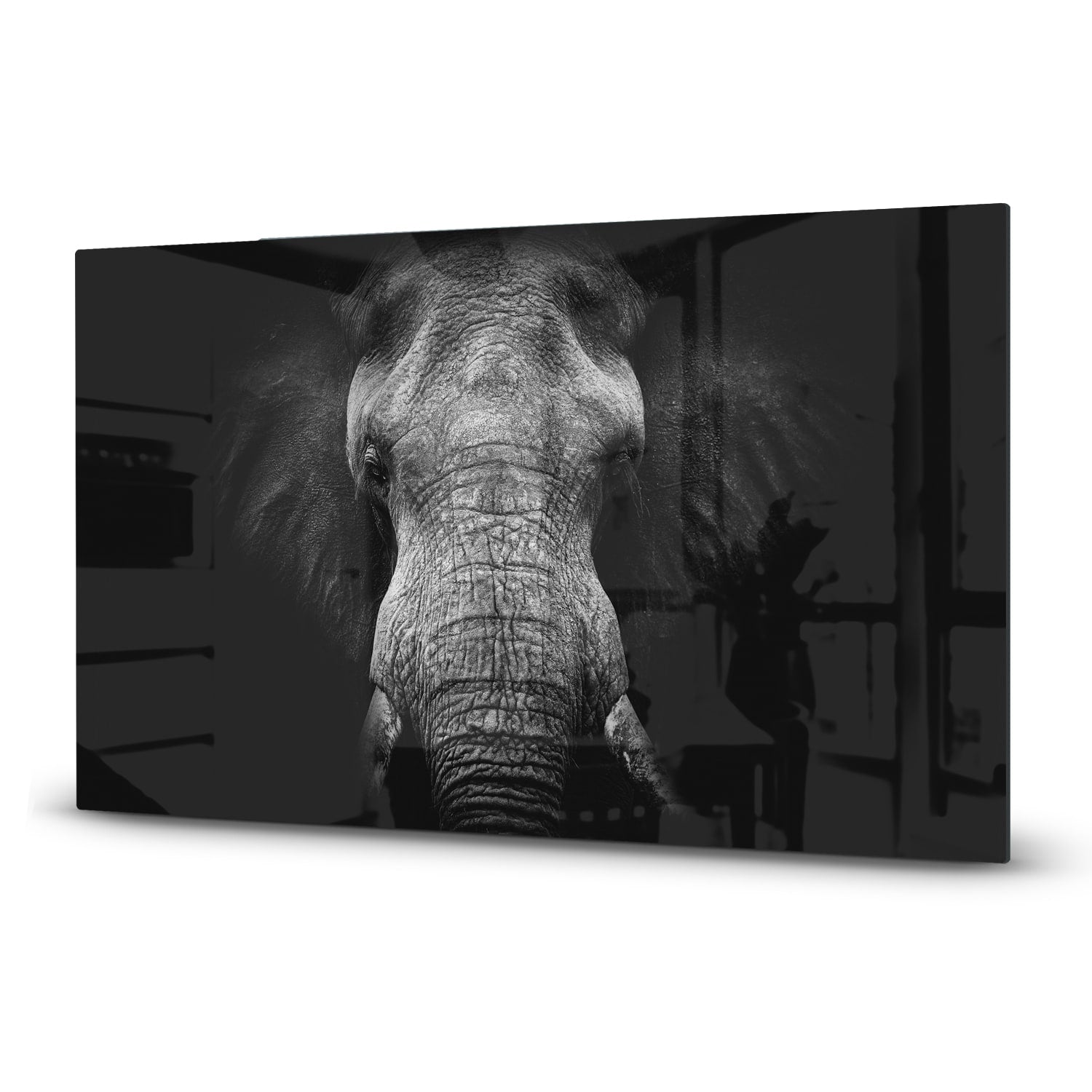 Inductiebeschermer - Gehard Glas - Olifant in zwart/wit