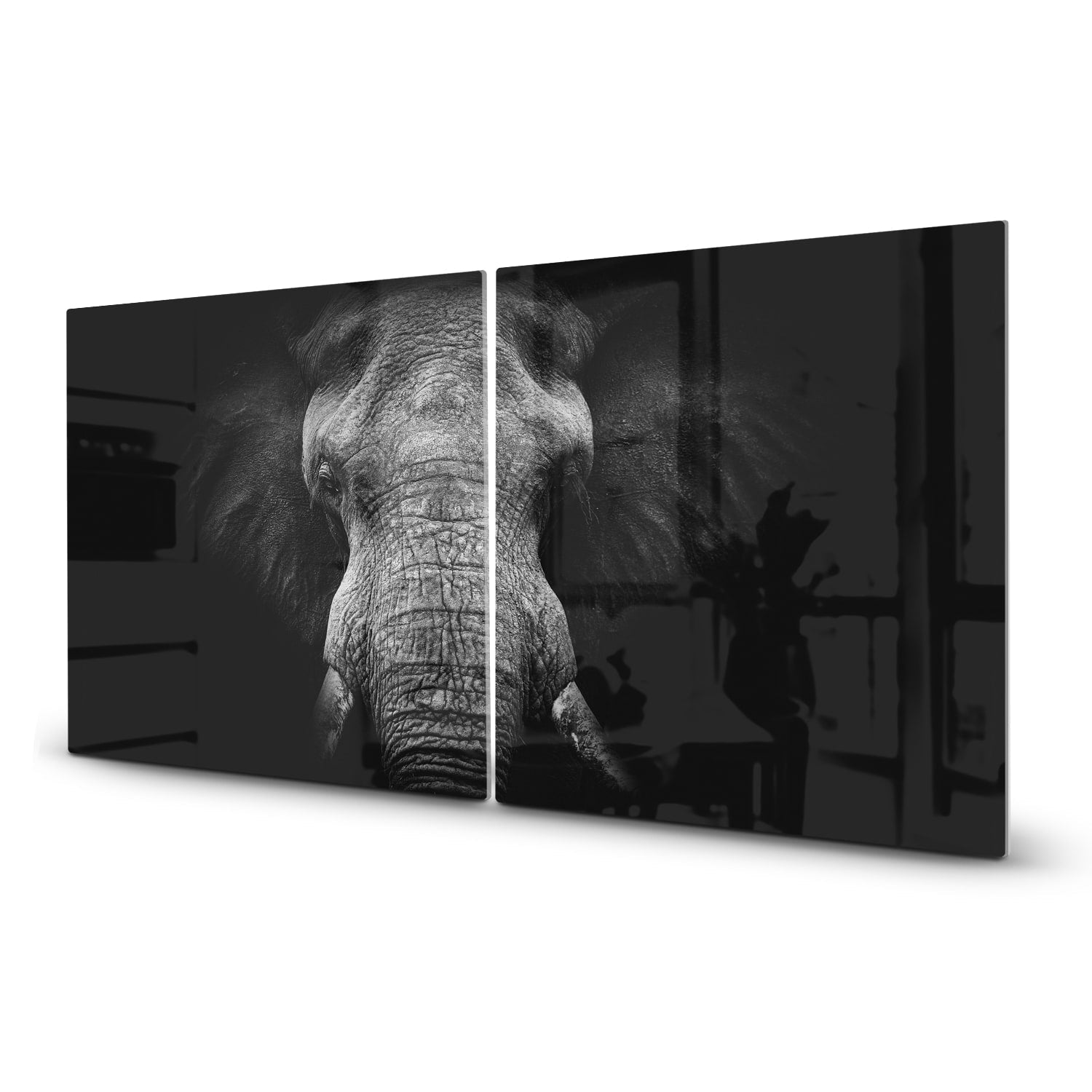 Inductiebeschermer - Gehard Glas - Olifant in zwart/wit