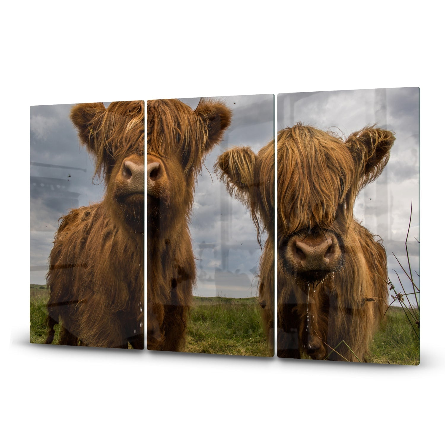 Inductiebeschermer - Gehard Glas - Twee Schotse Hooglanders