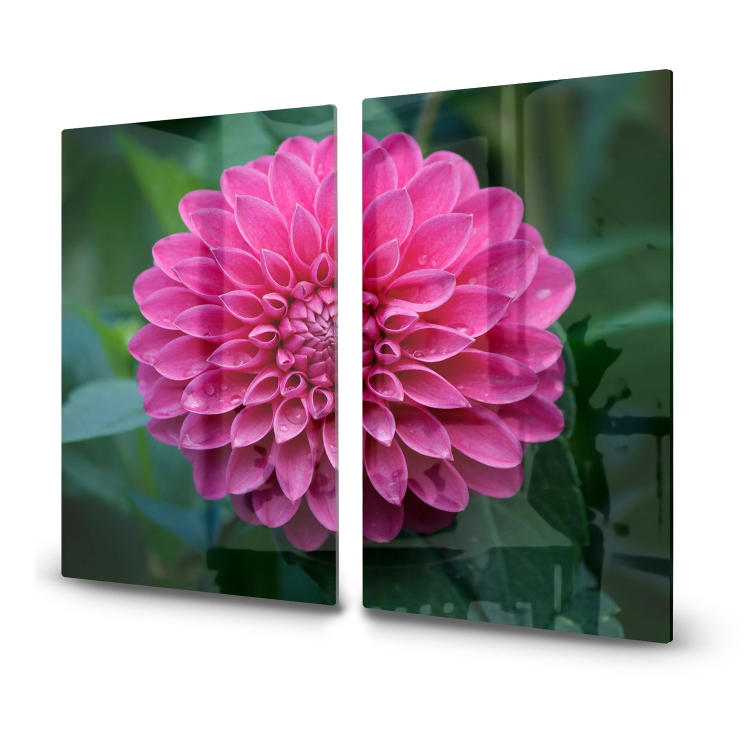 Inductiebeschermer - Gehard Glas - Roze Dahlia