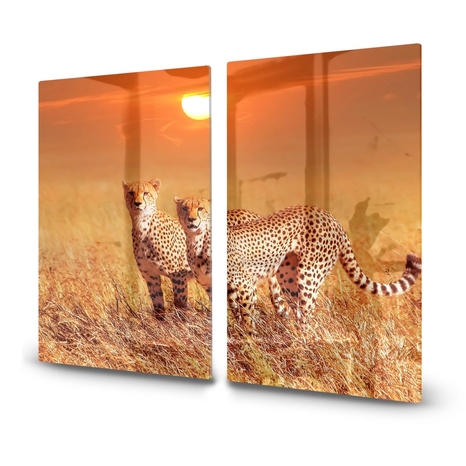 Inductiebeschermer - Gehard Glas - Twee Cheetahs