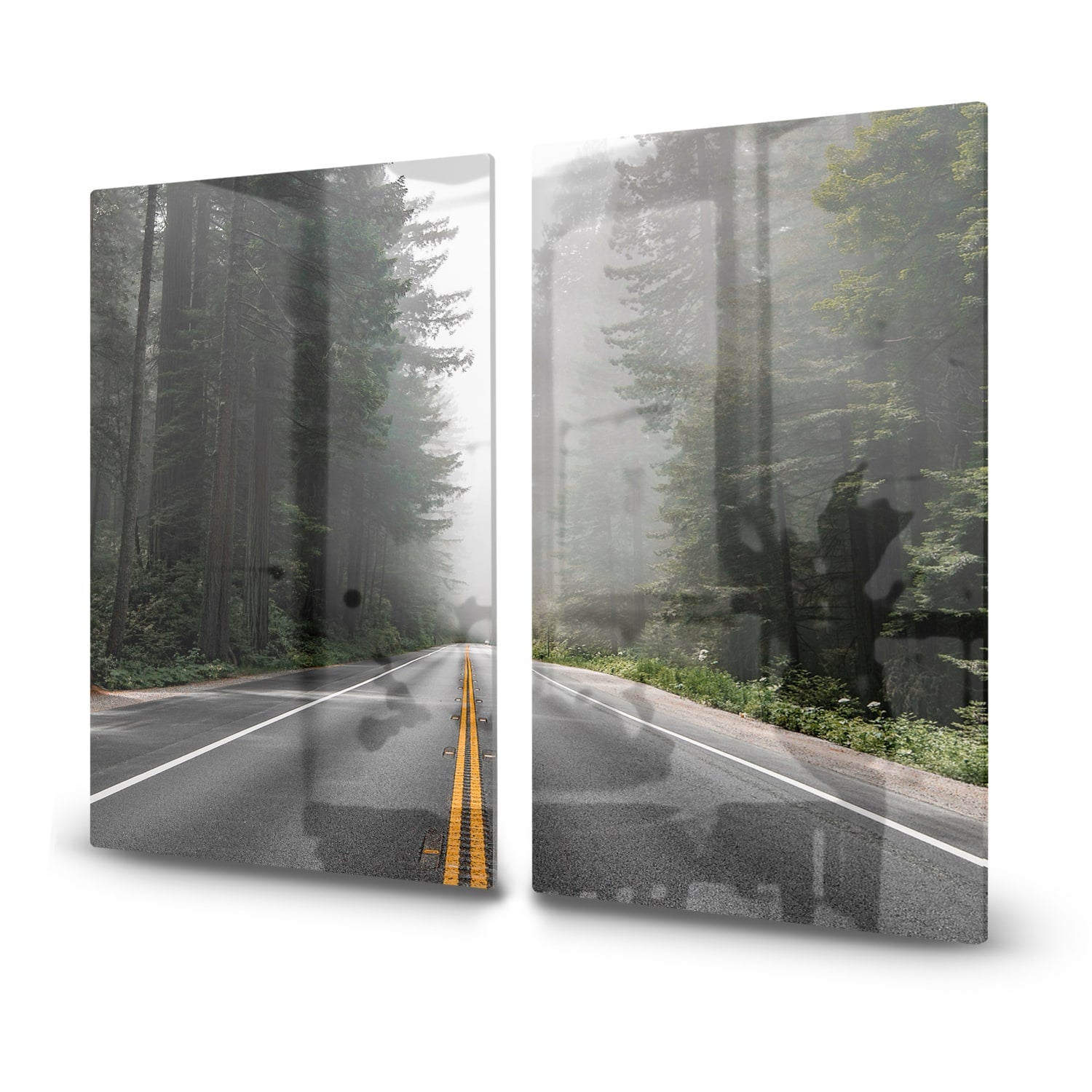 Inductiebeschermer - Gehard Glas - Redwood National Forest