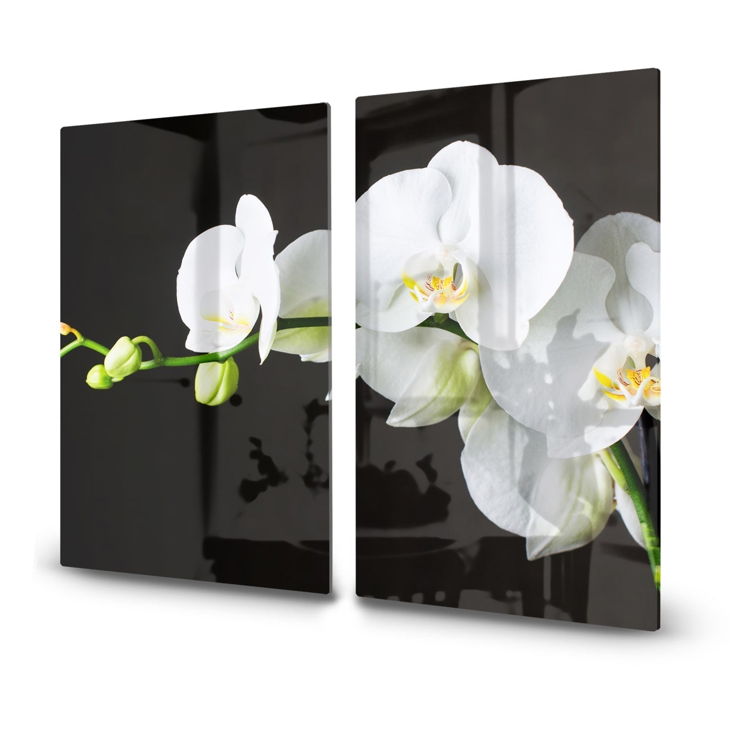 Inductiebeschermer - Gehard Glas - Witte Orchideen