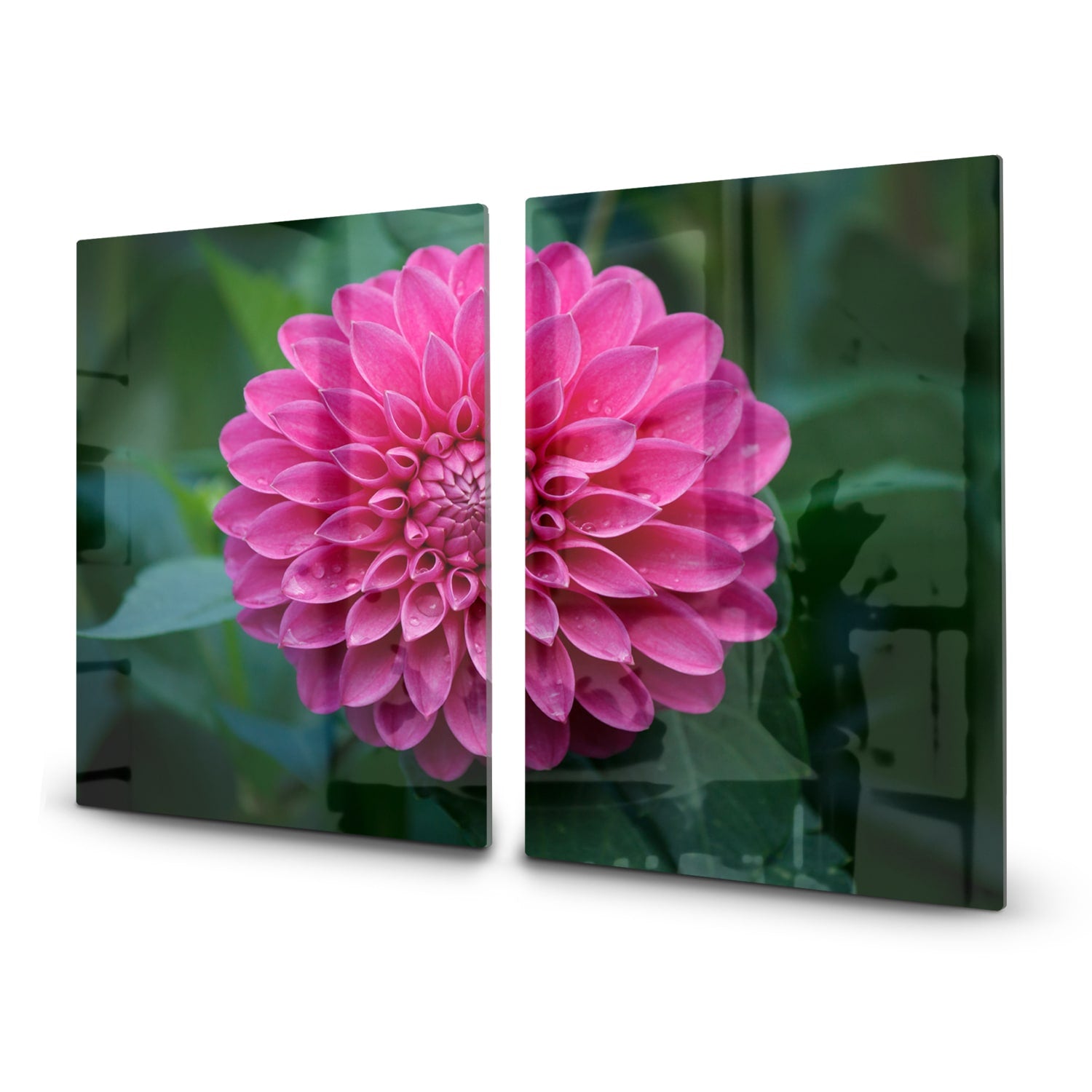 Inductiebeschermer - Gehard Glas - Roze Dahlia