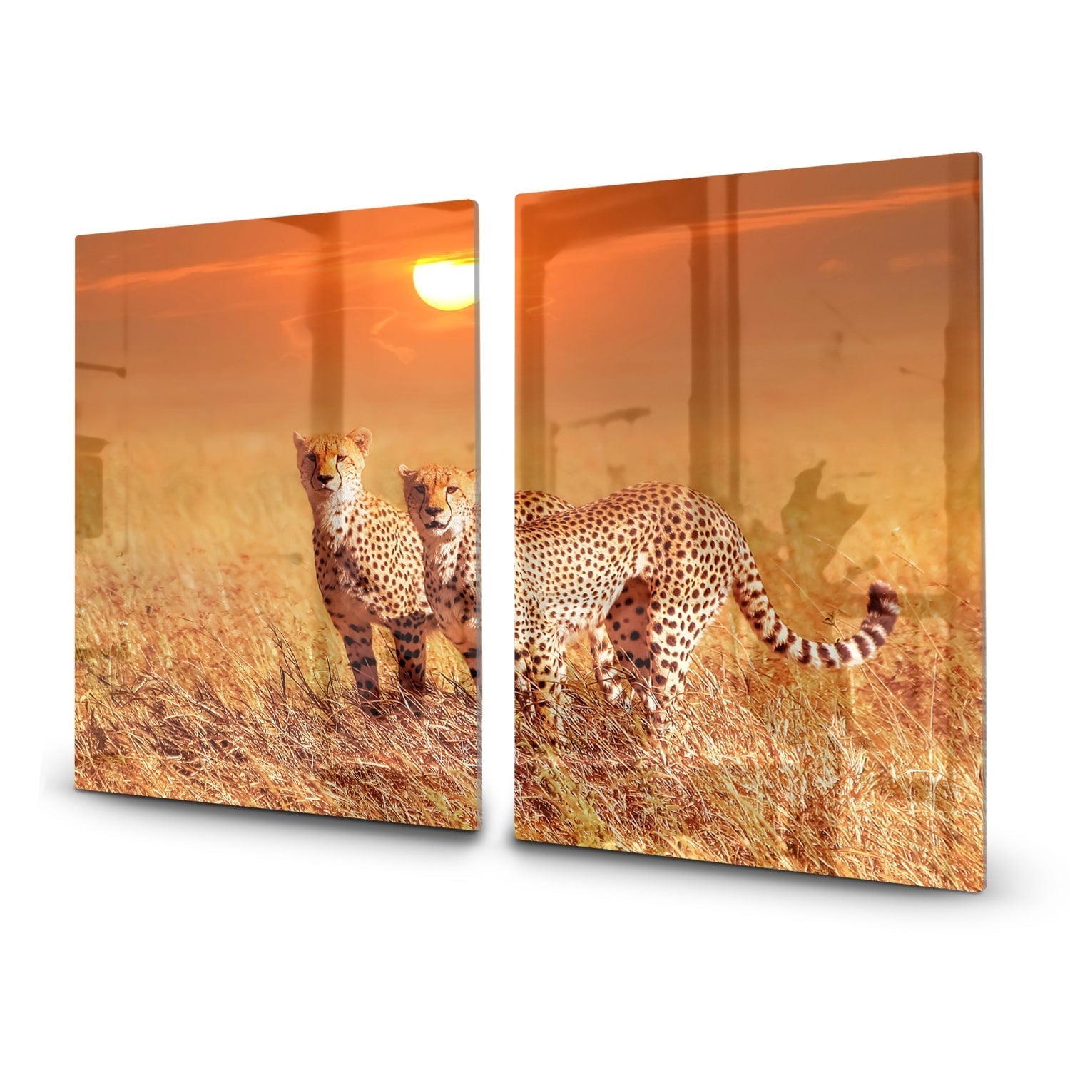 Inductiebeschermer - Gehard Glas - Twee Cheetahs