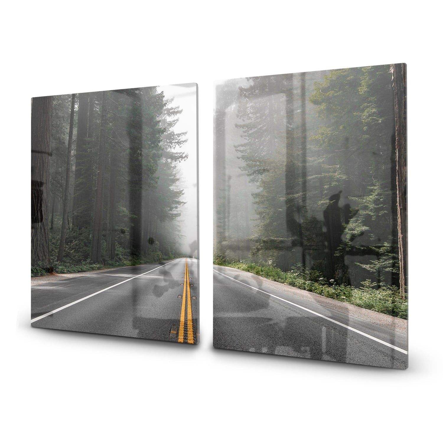 Inductiebeschermer - Gehard Glas - Redwood National Forest