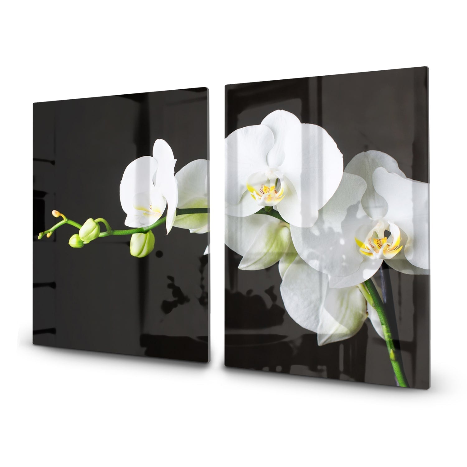 Inductiebeschermer - Gehard Glas - Witte Orchideen