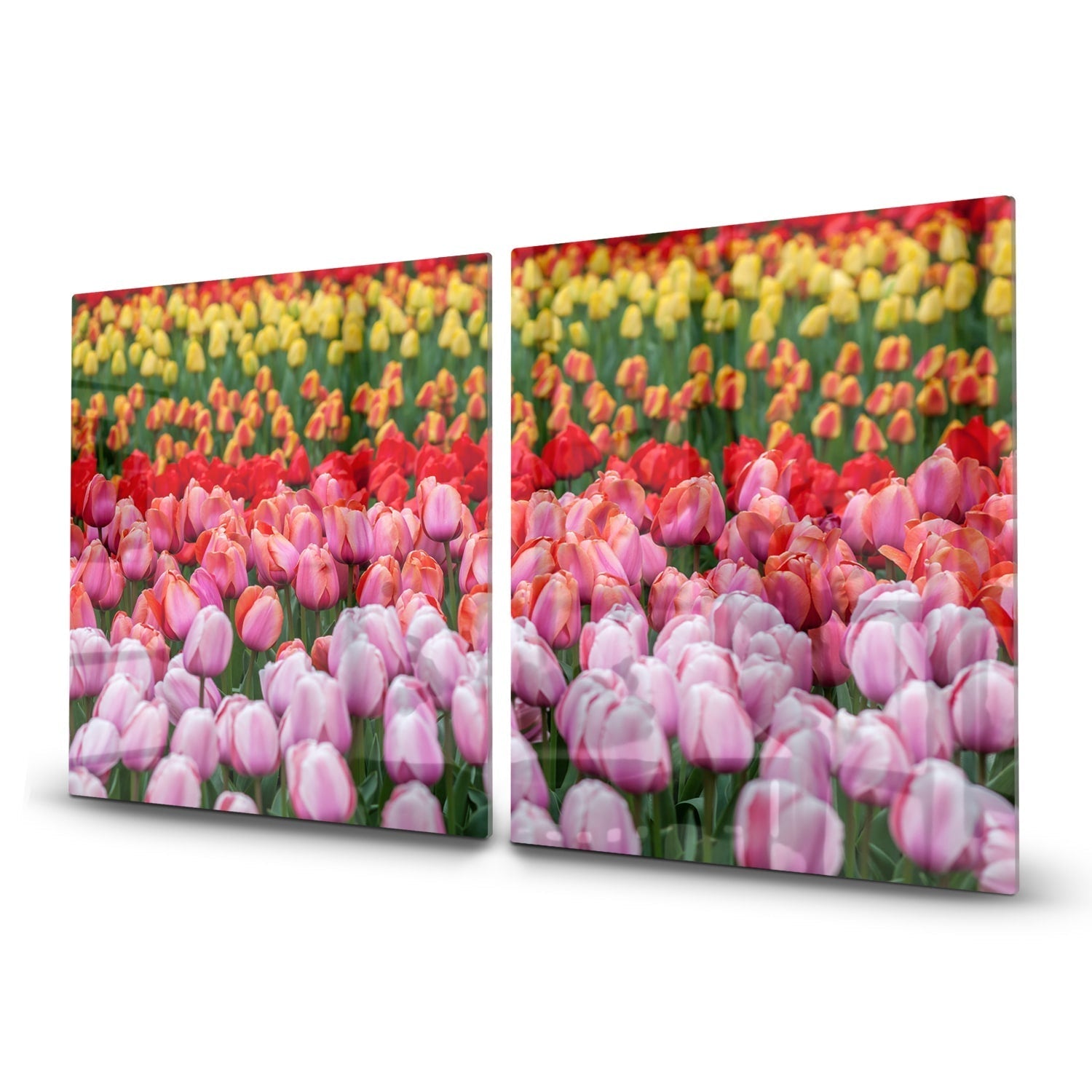 Inductiebeschermer - Gehard Glas - Tulpenveld in Lisse