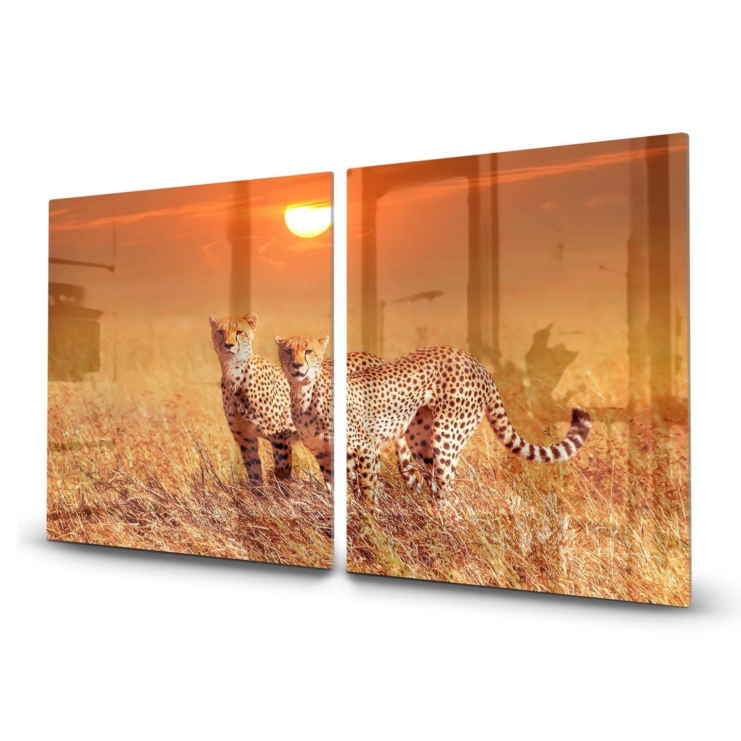 Inductiebeschermer - Gehard Glas - Twee Cheetahs