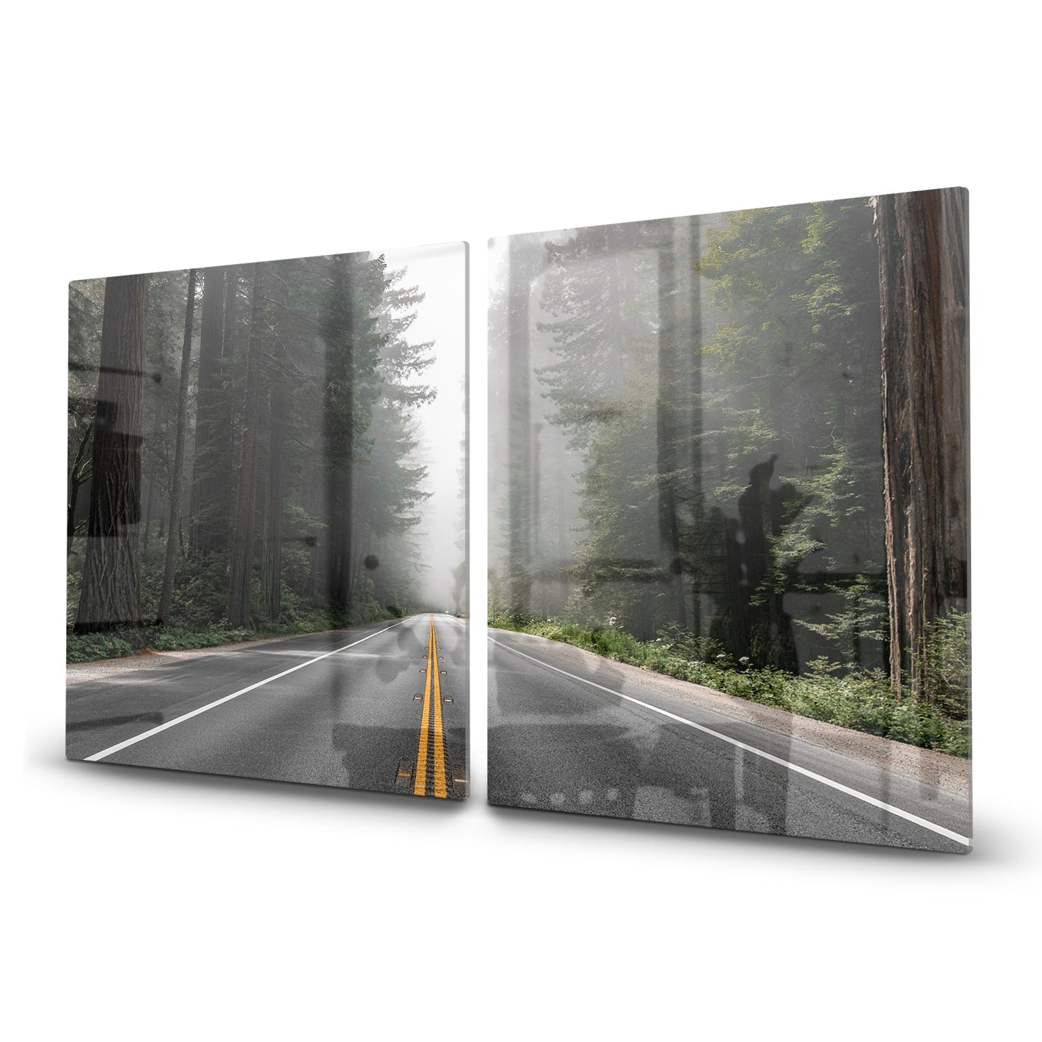 Inductiebeschermer - Gehard Glas - Redwood National Forest