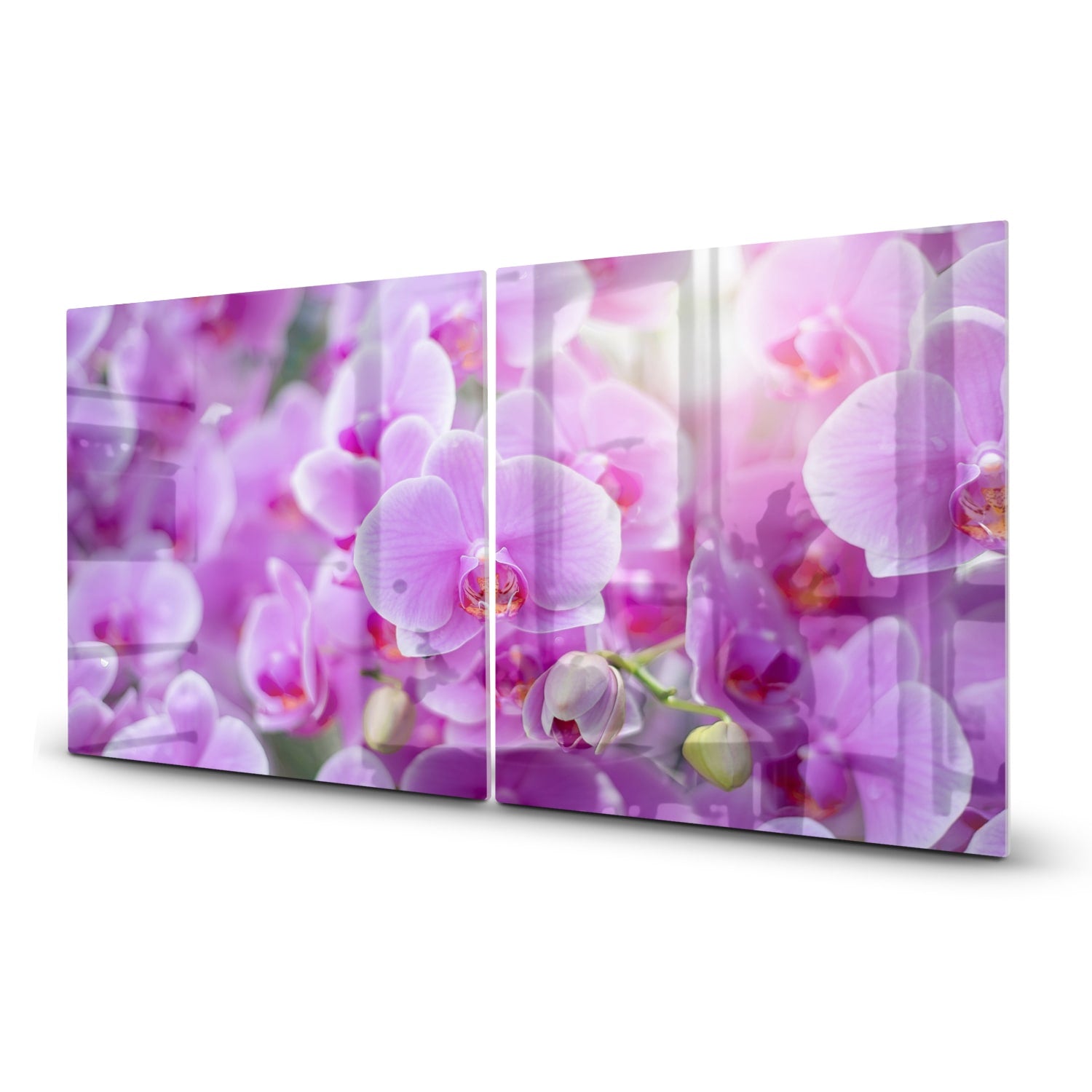 Inductiebeschermer - Gehard Glas - Stralende Orchideen