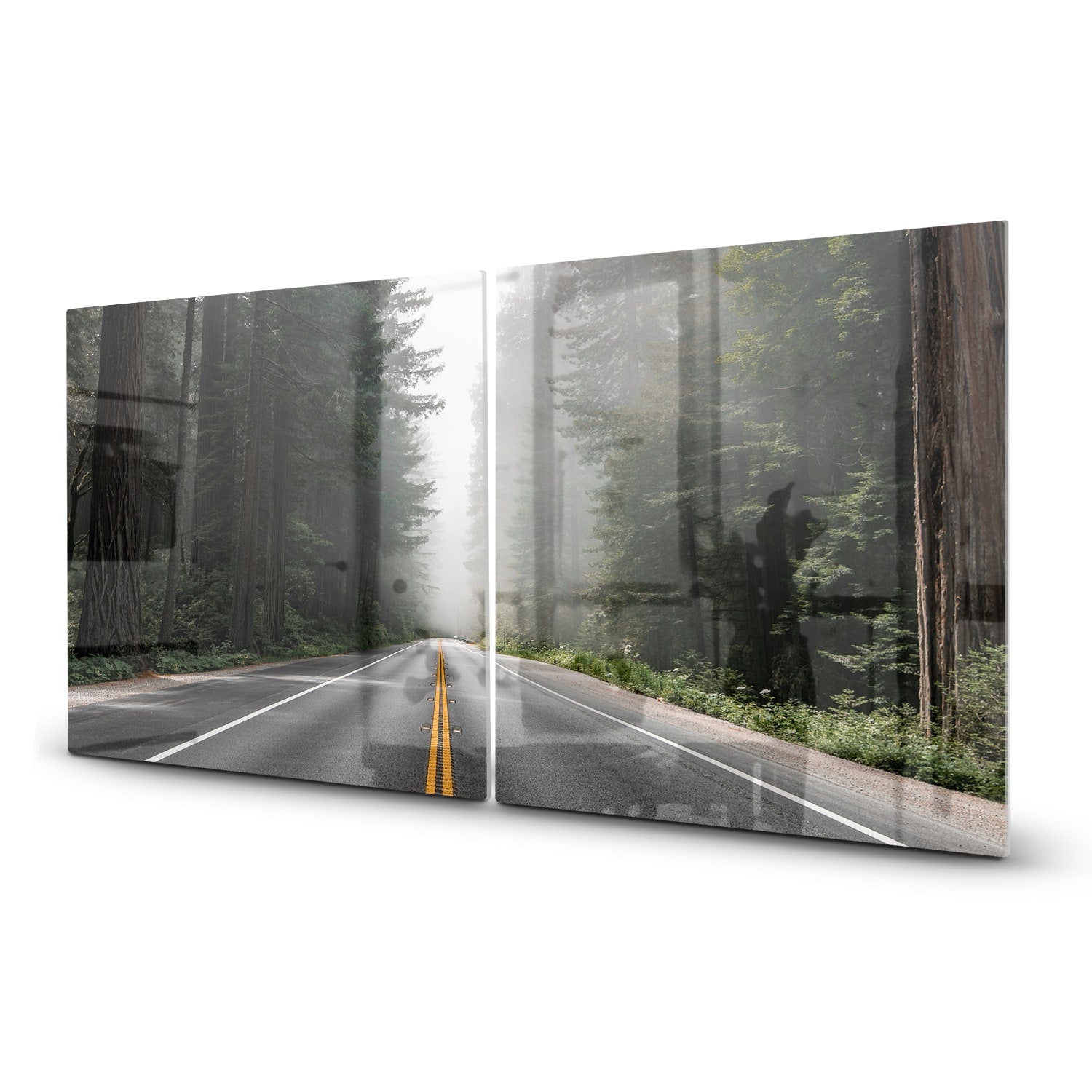 Inductiebeschermer - Gehard Glas - Redwood National Forest