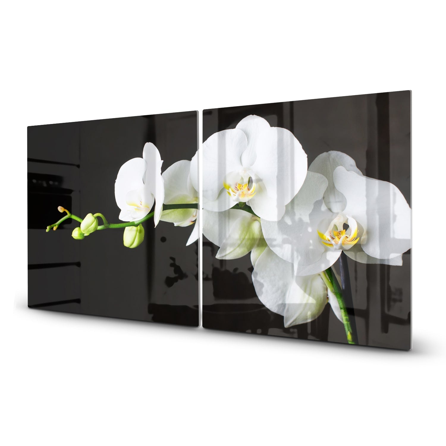 Inductiebeschermer - Gehard Glas - Witte Orchideen