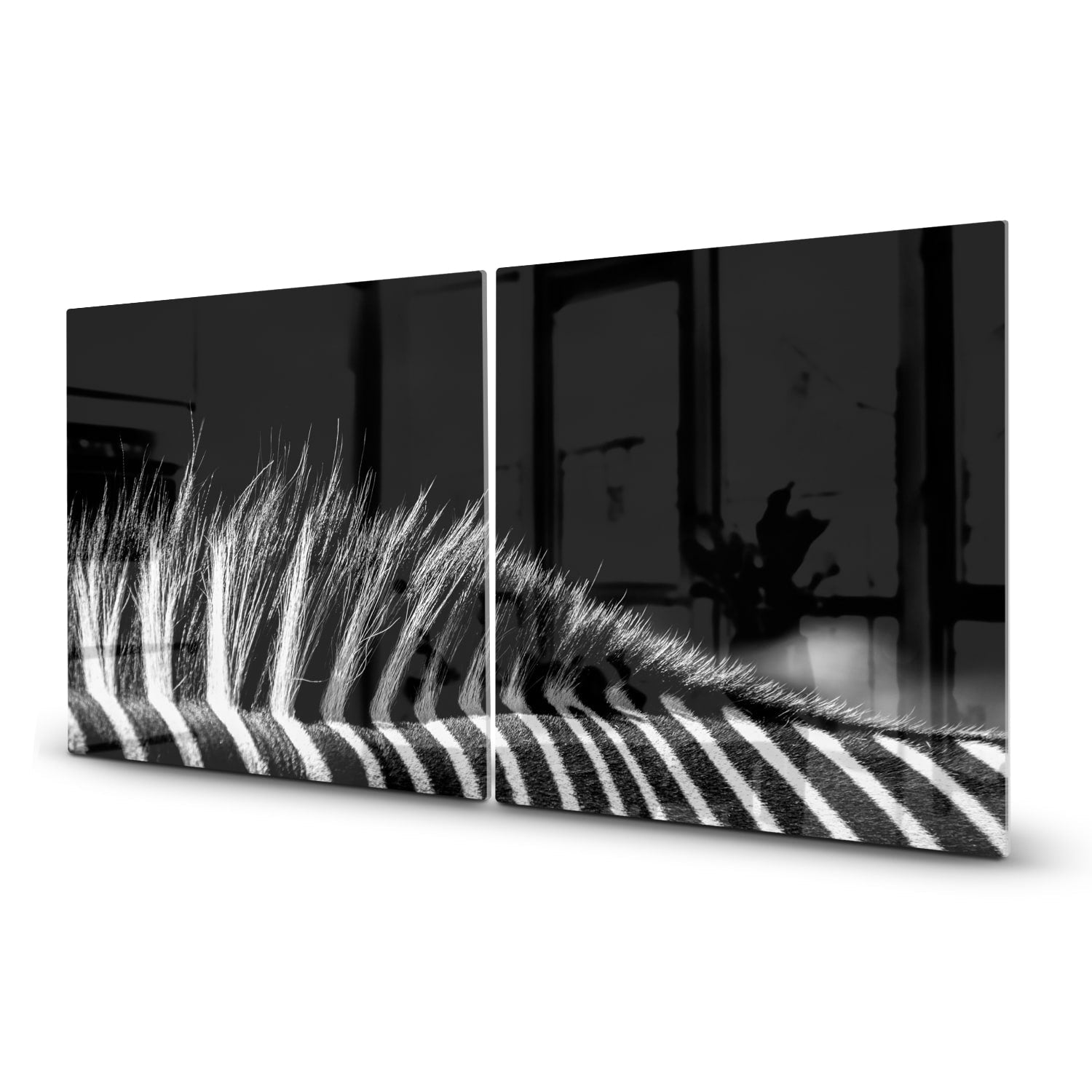 Inductiebeschermer - Gehard Glas - Zwart-Wit Zebra