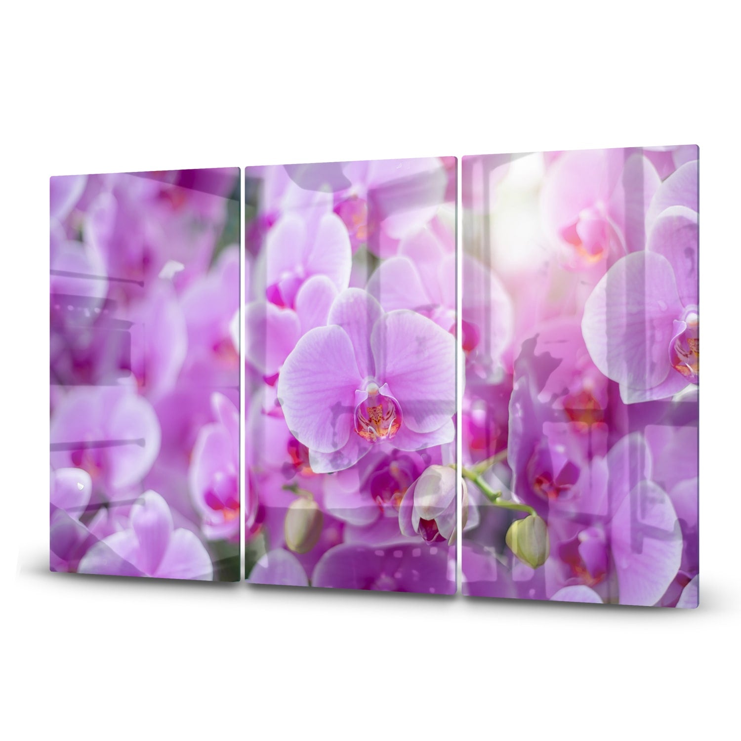 Inductiebeschermer - Gehard Glas - Stralende Orchideen