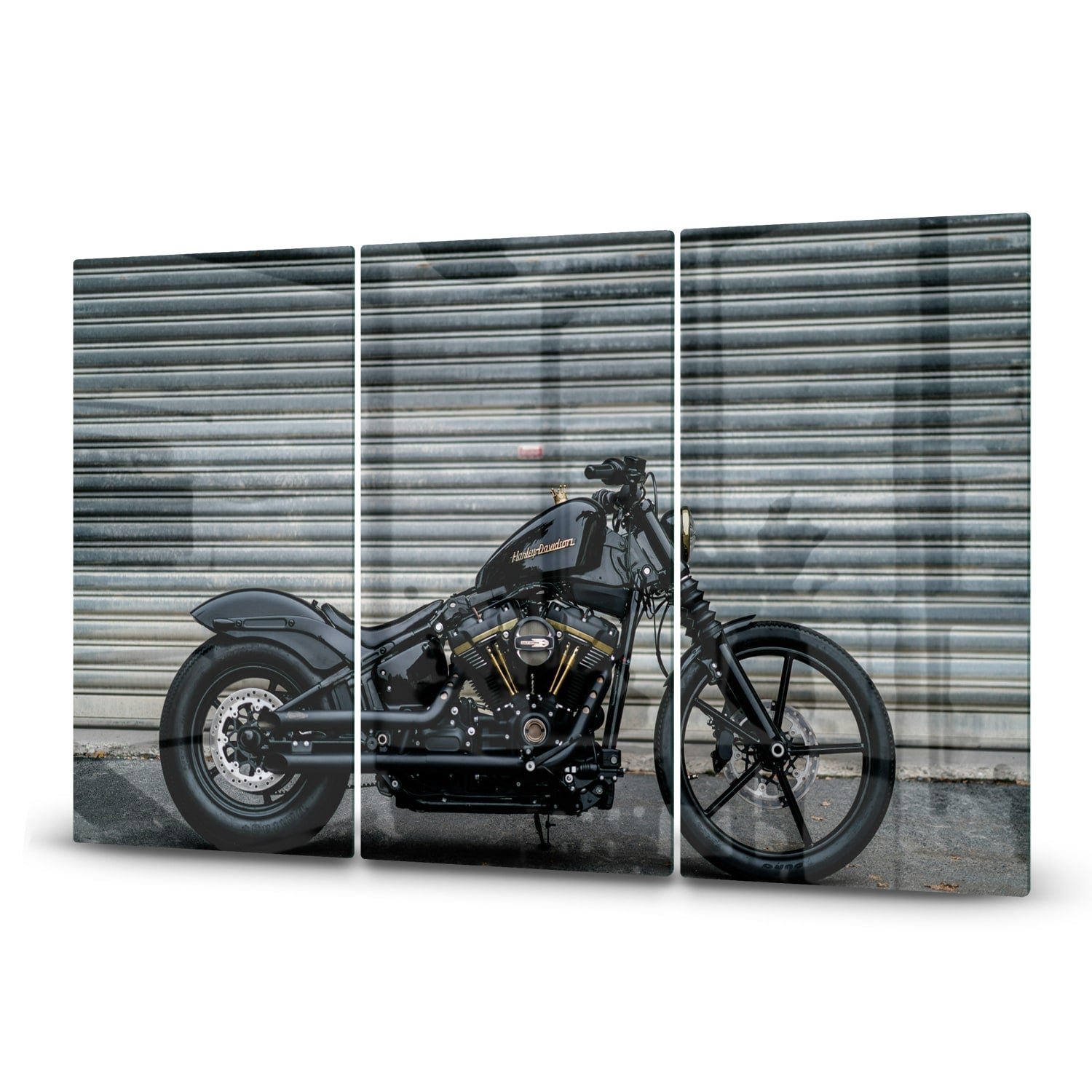 Inductiebeschermer - Gehard Glas - Harley Davidson