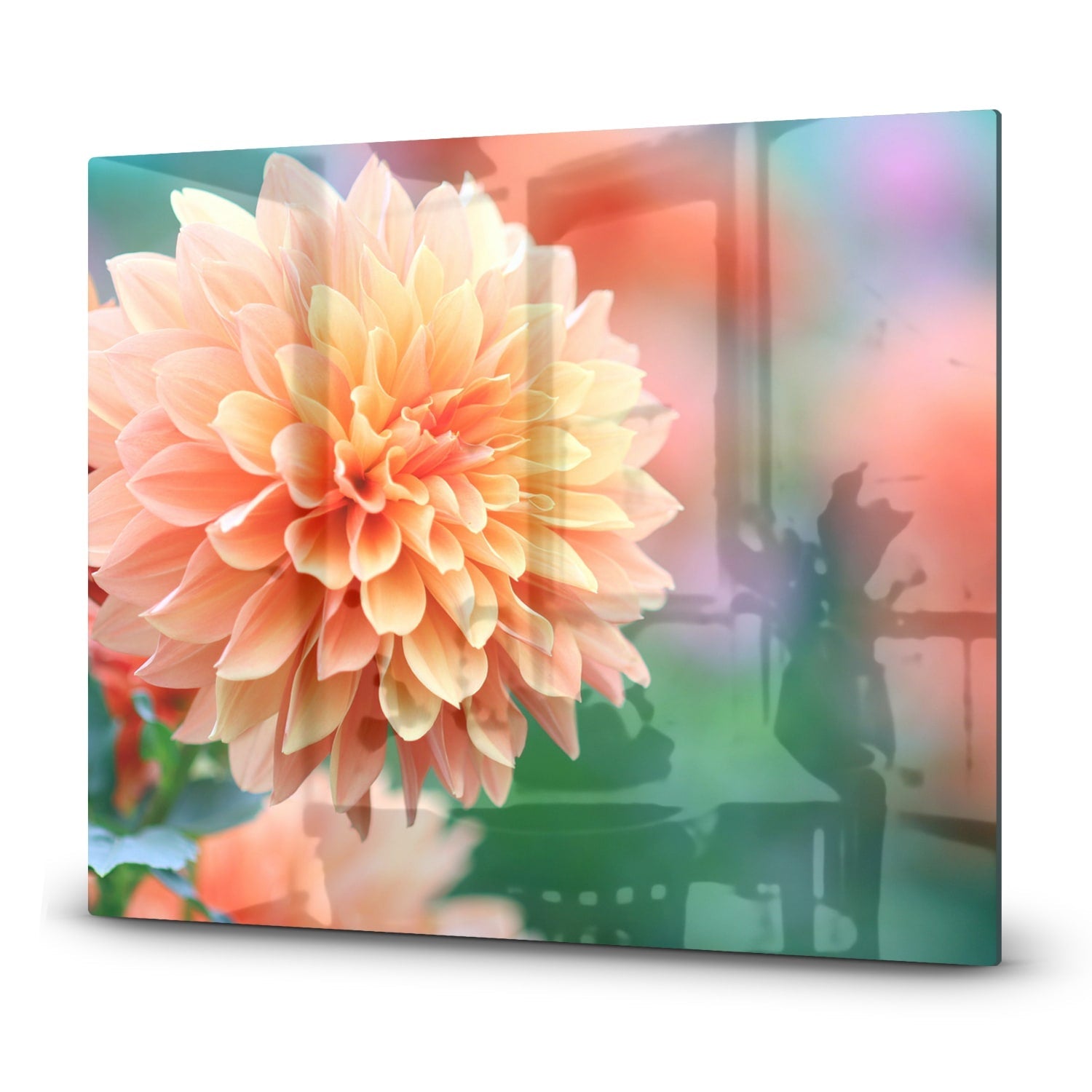 Eigen Afmeting - Inductiebeschermer - Gehard Glas - Roze/Gele Dahlia