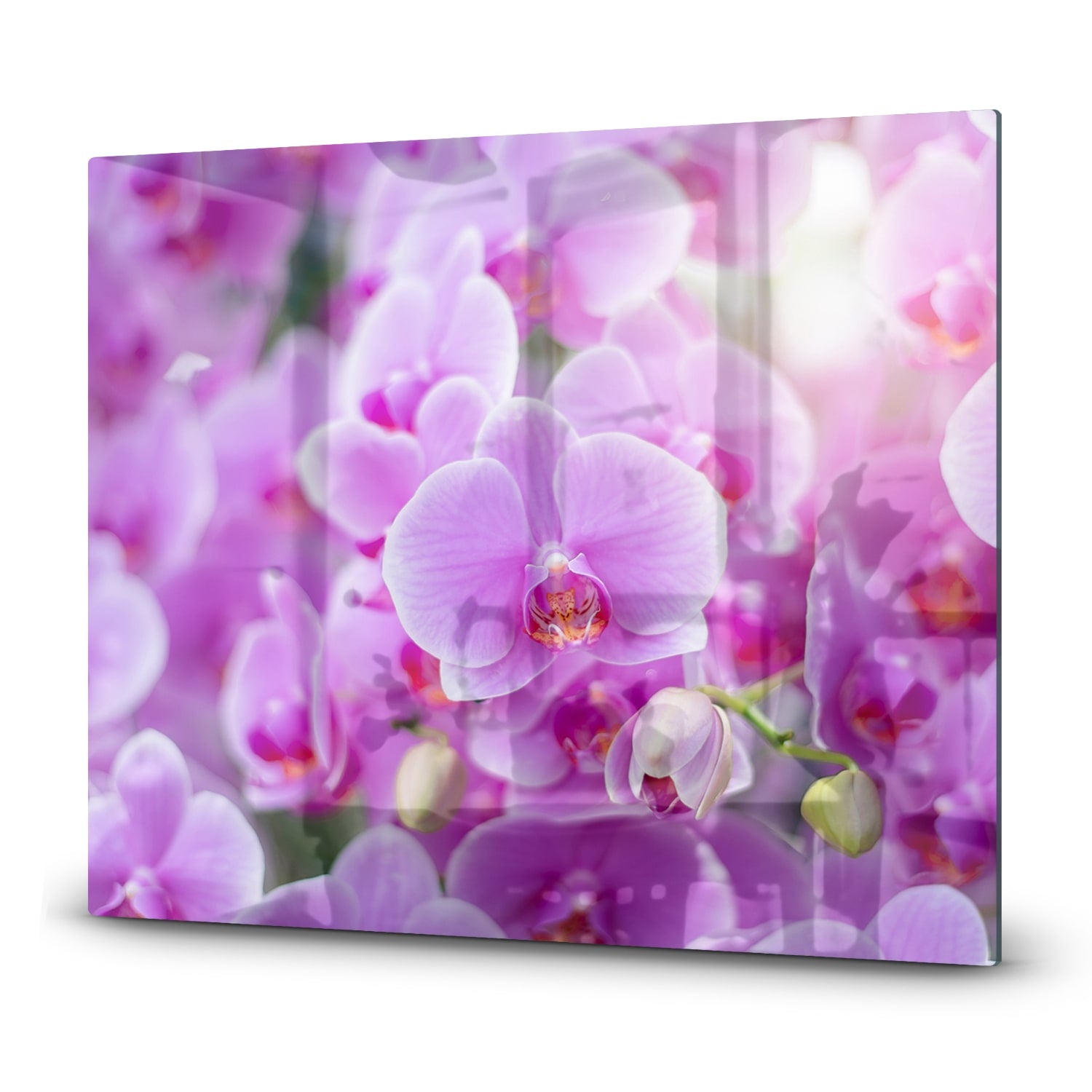 Inductiebeschermer - Gehard Glas - Stralende Orchideen