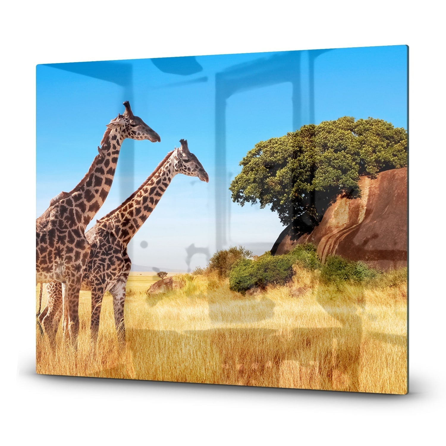 Inductiebeschermer - Gehard Glas - Giraffen