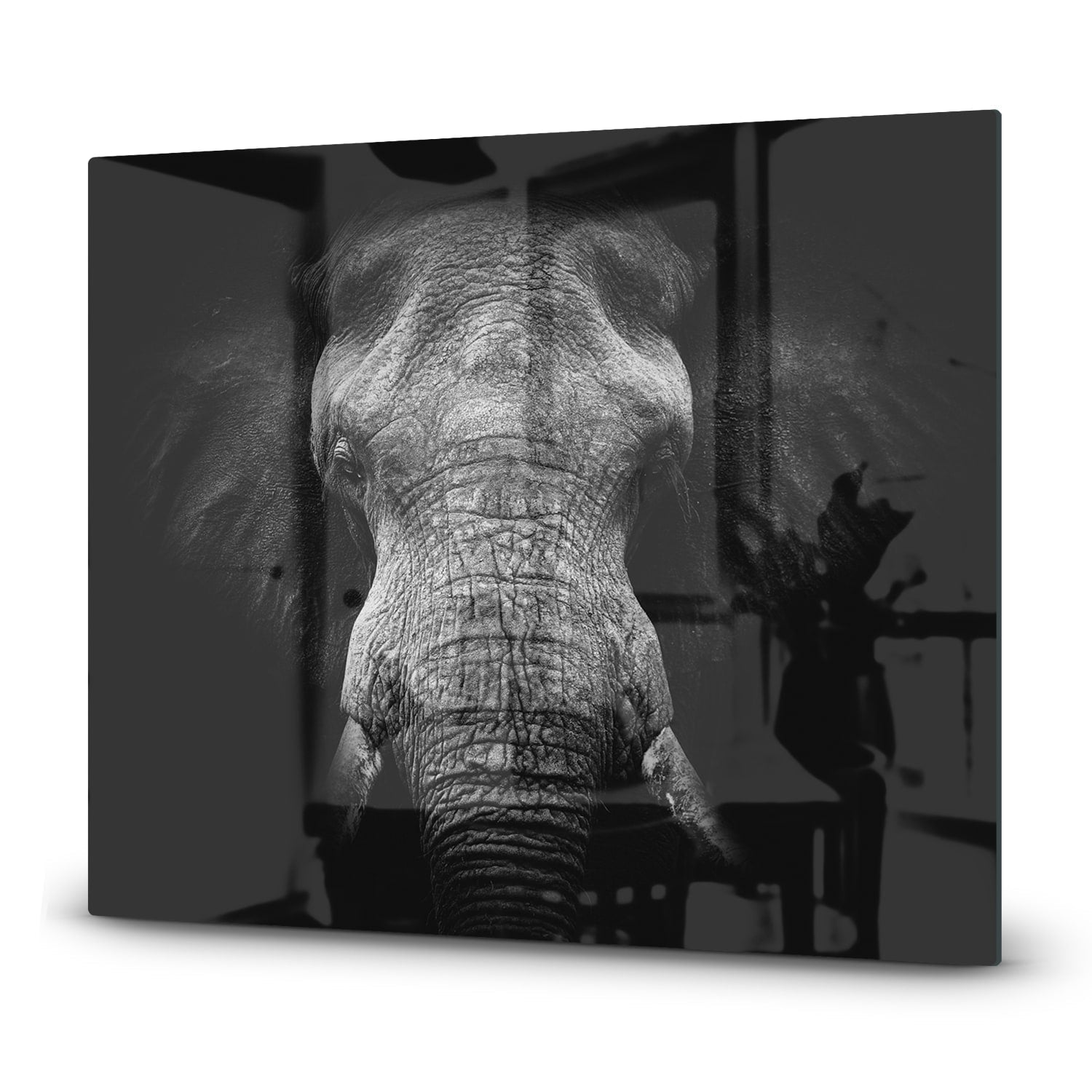 Eigen Afmeting - Inductiebeschermer - Gehard Glas - Zwart/Wit Olifant