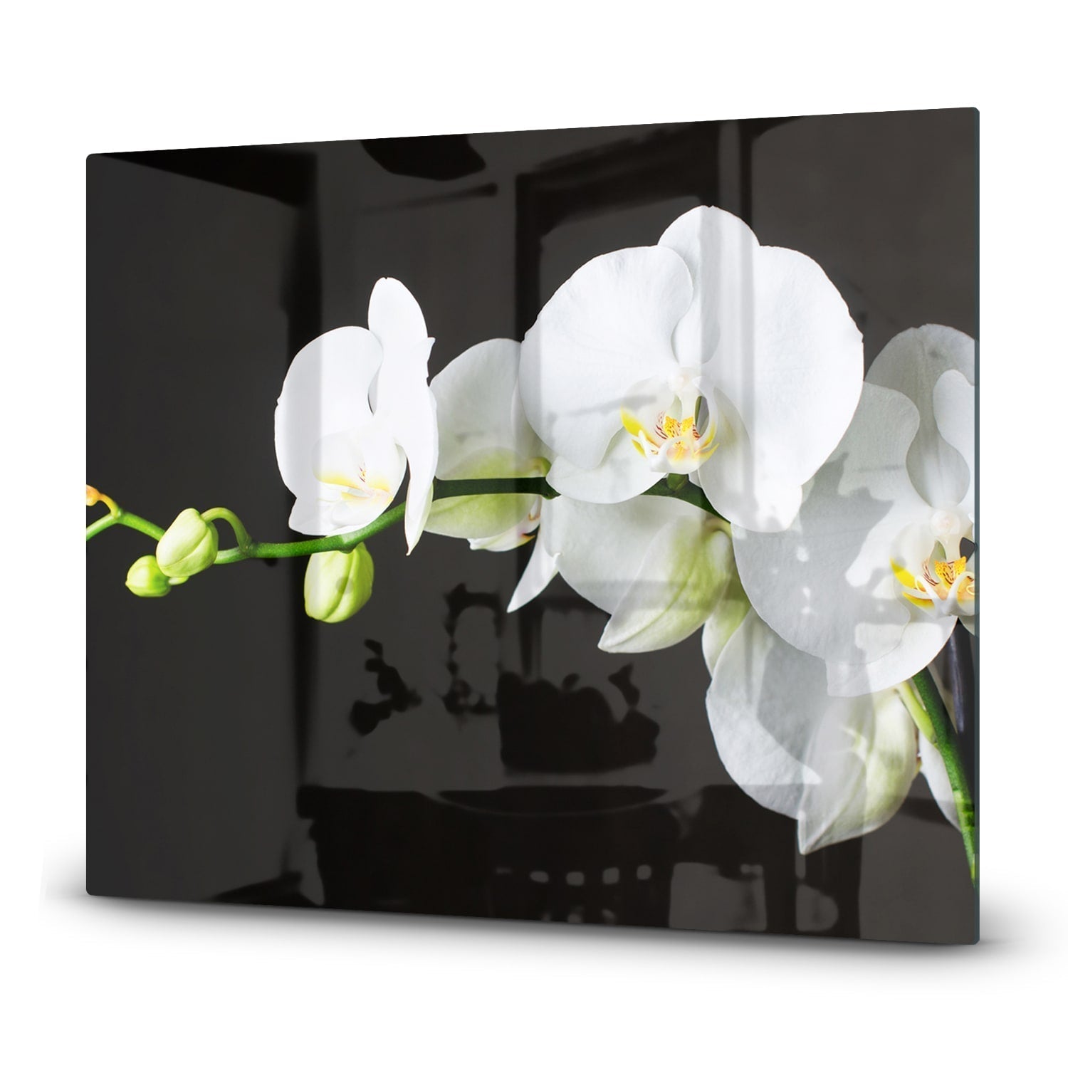 Eigen Afmeting - Inductiebeschermer - Gehard Glas - Witte Orchidee��n