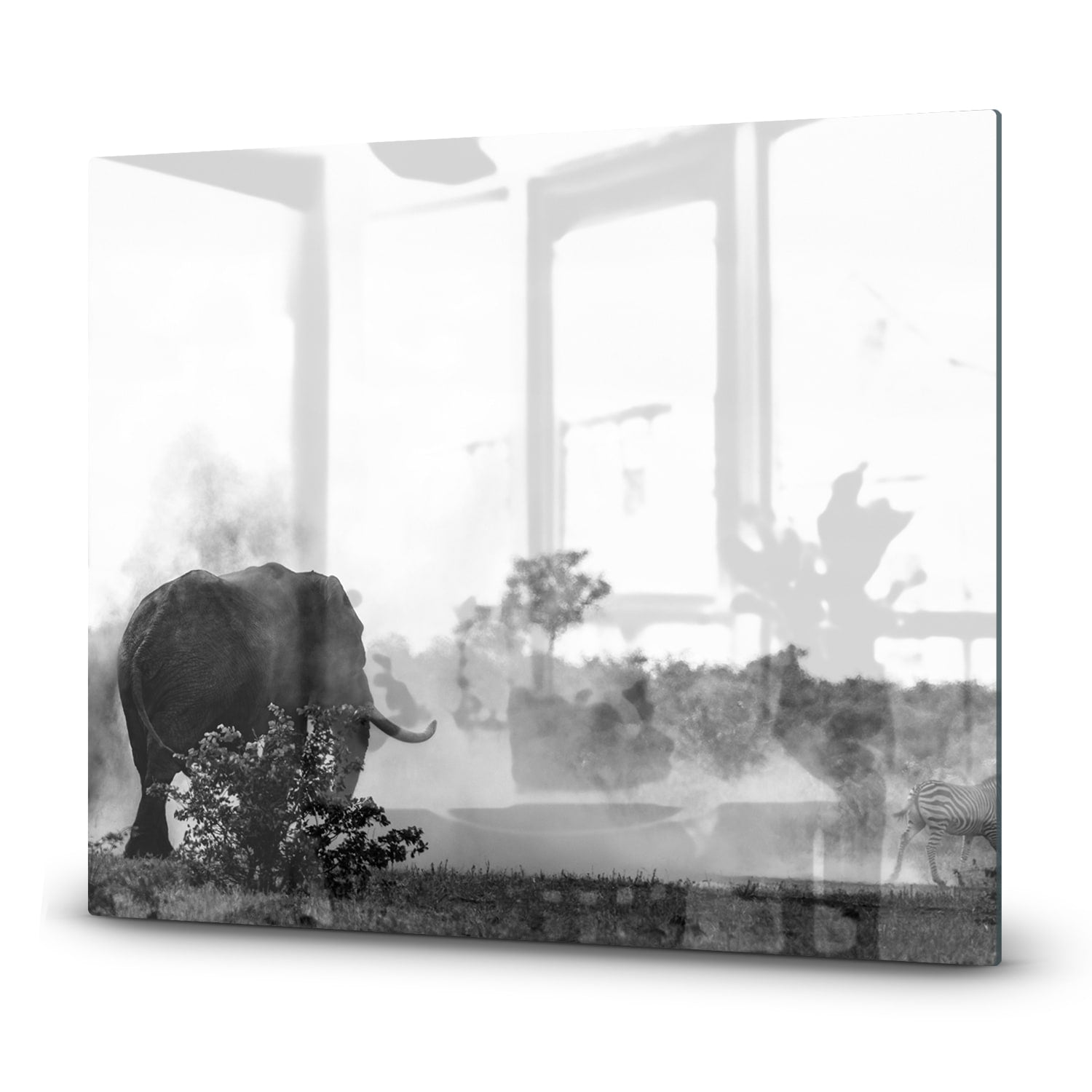 Inductiebeschermer - Gehard Glas - Olifant in Zwart-Wit