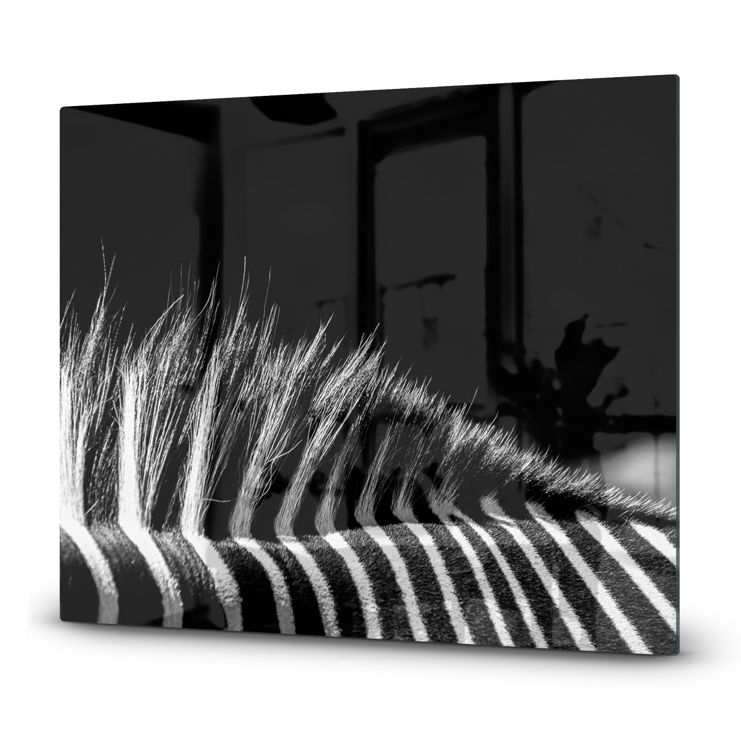 Inductiebeschermer - Gehard Glas - Zwart-Wit Zebra