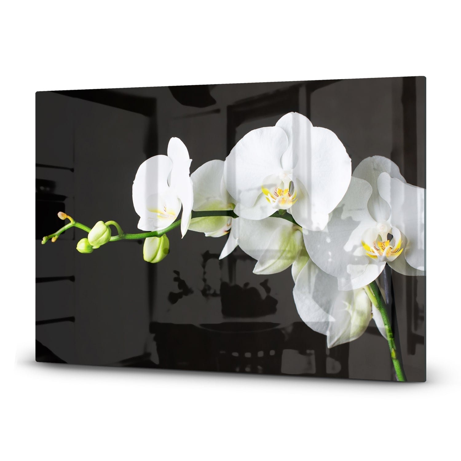 Inductiebeschermer - Gehard Glas - Witte Orchideen