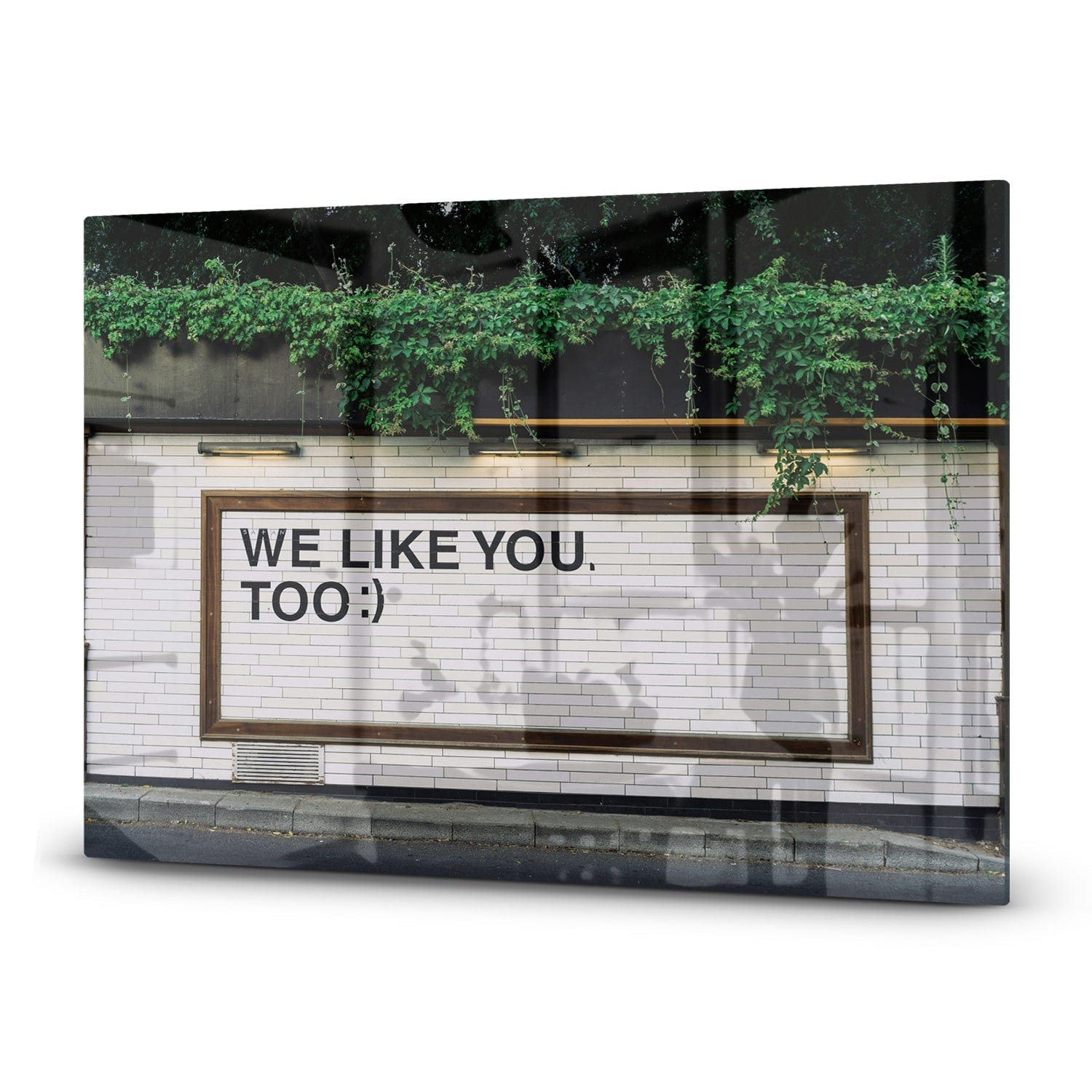 Inductiebeschermer - Gehard Glas - We Like You To