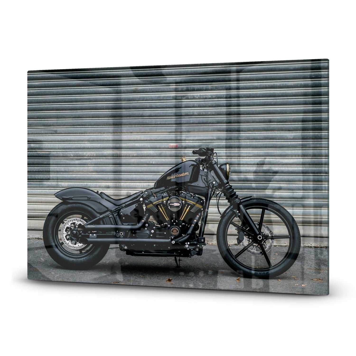 Inductiebeschermer - Gehard Glas - Harley Davidson