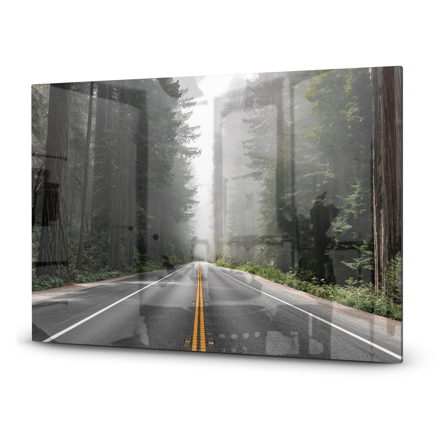 Inductiebeschermer - Gehard Glas - Redwood National Forest