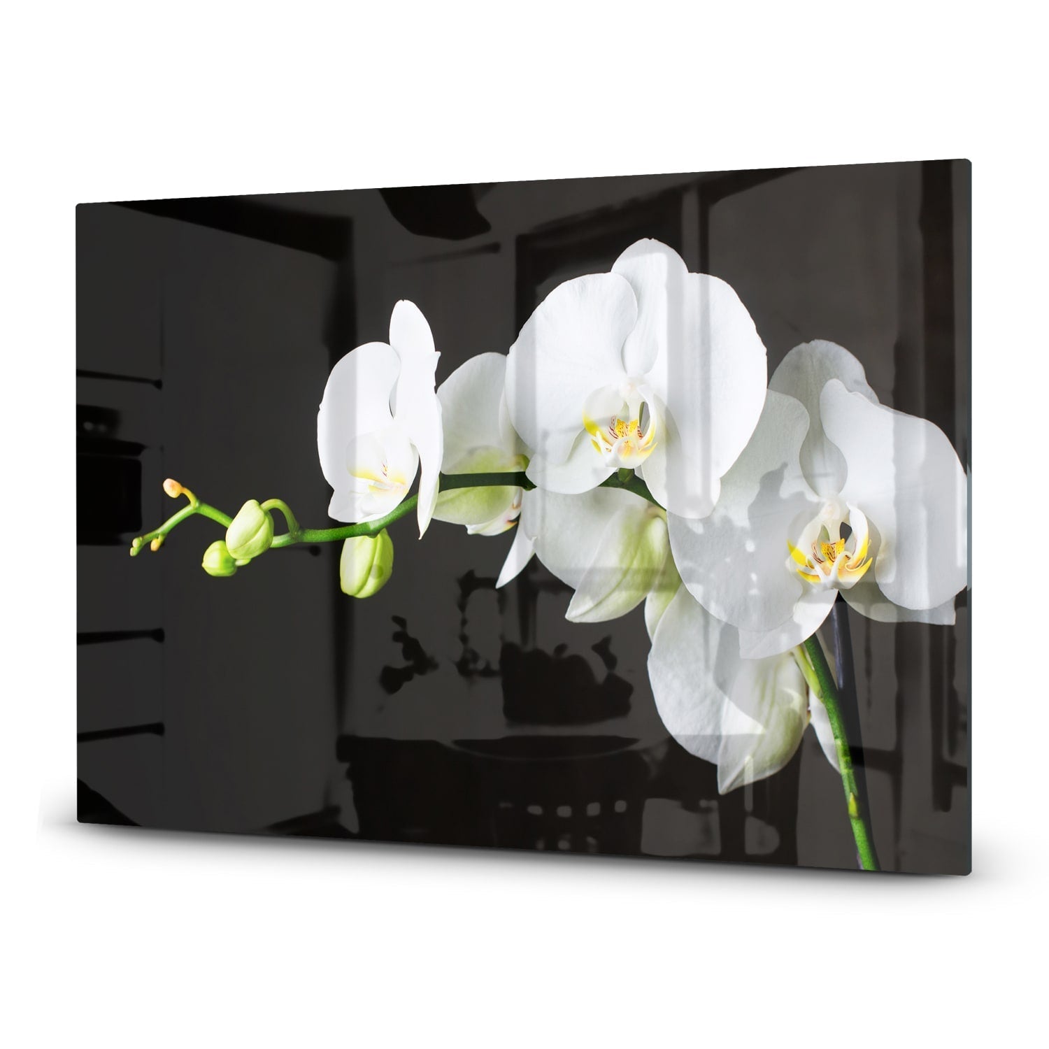 Inductiebeschermer - Gehard Glas - Witte Orchideen