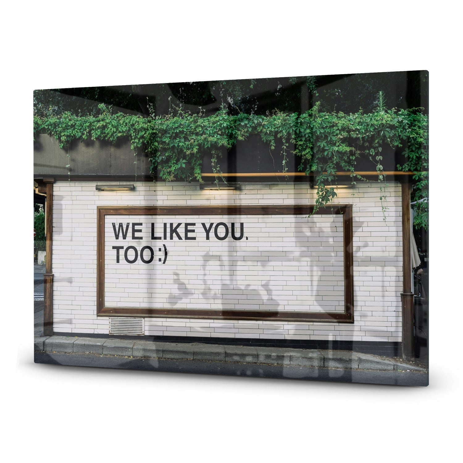 Inductiebeschermer - Gehard Glas - We Like You To