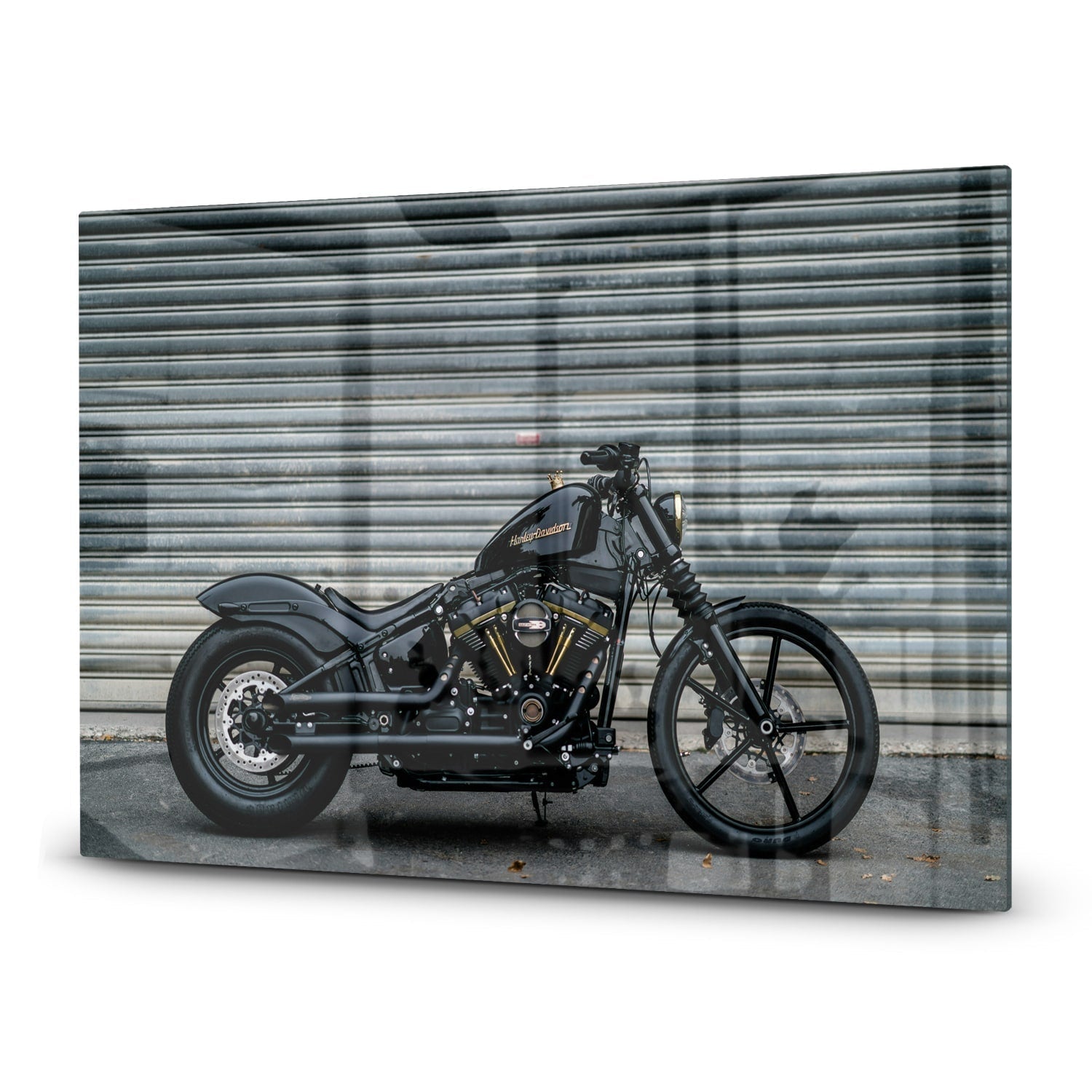 Inductiebeschermer - Gehard Glas - Harley Davidson