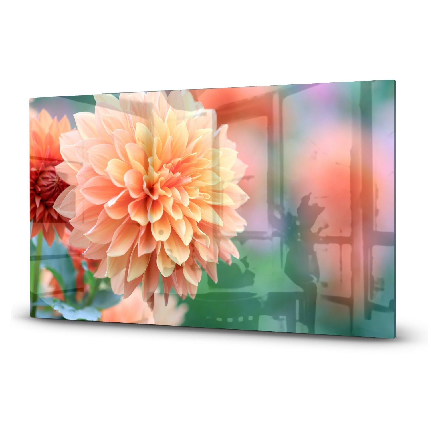 Inductiebeschermer - Gehard Glas - Roze/Gele Dahlia