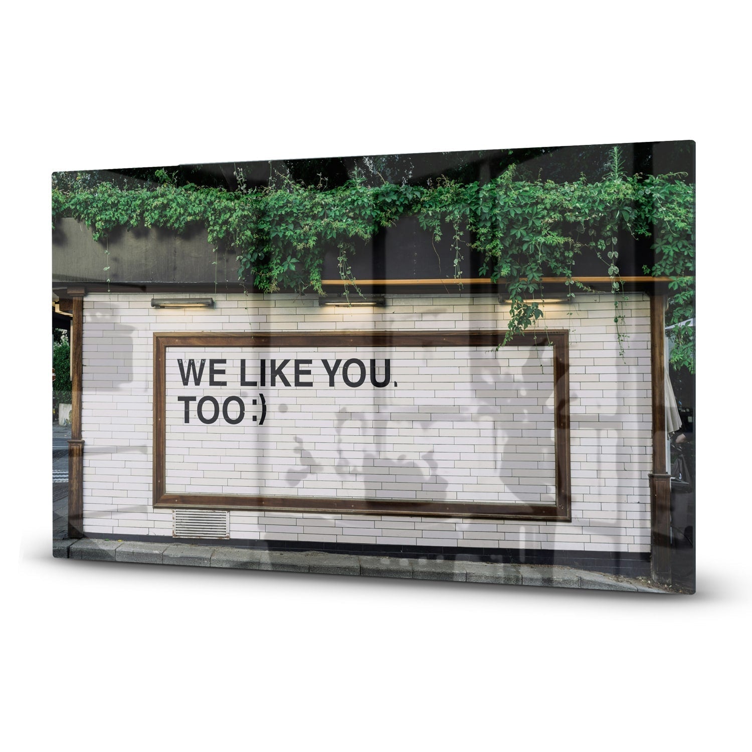 Inductiebeschermer - Gehard Glas - We Like You To