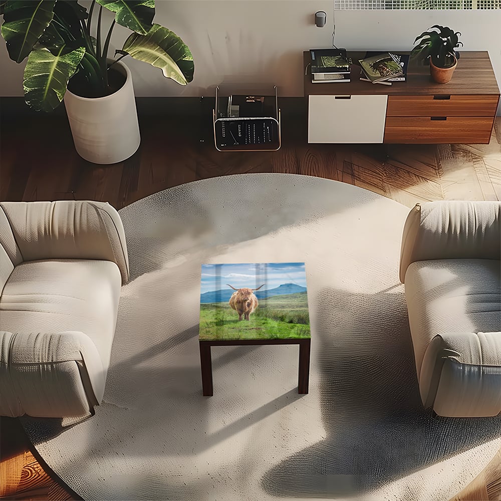 Salontafel 55x55 - Gehard Glas - Wollige Schotse Hooglander