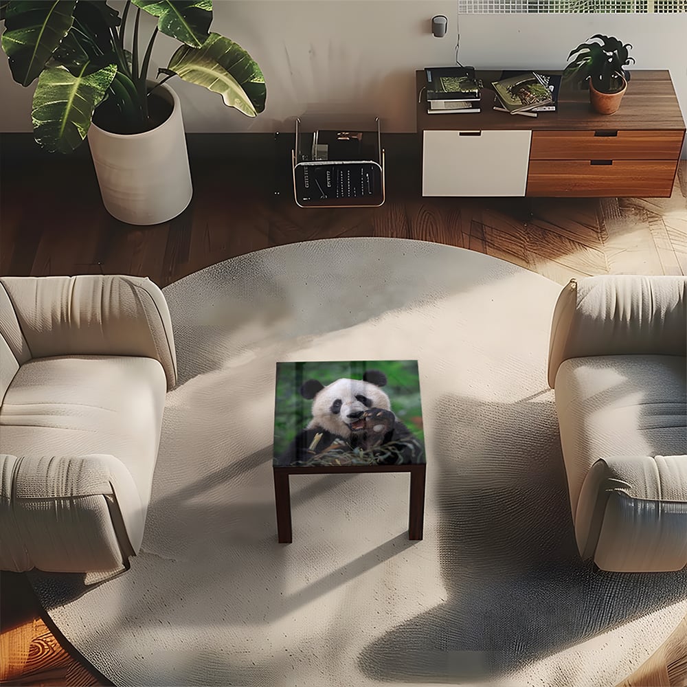 Salontafel 55x55 - Gehard Glas - Blije Panda