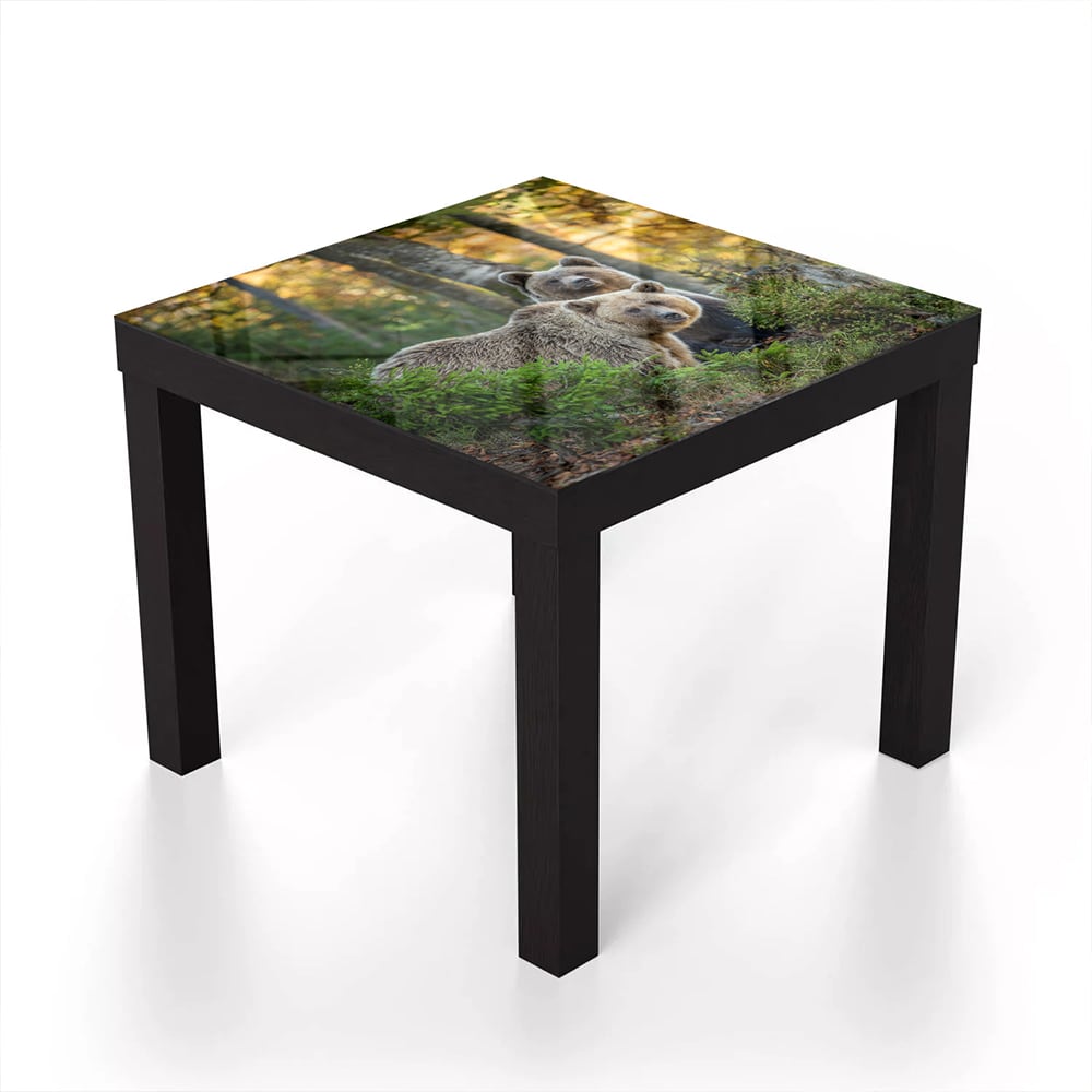 Salontafel 55x55 - Gehard Glas - Bruine Beren