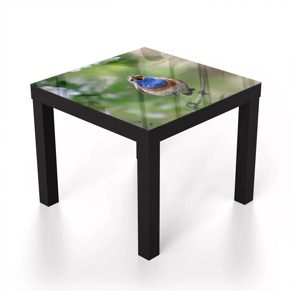 Salontafel 55x55 - Gehard Glas - Schattige Blauwborst