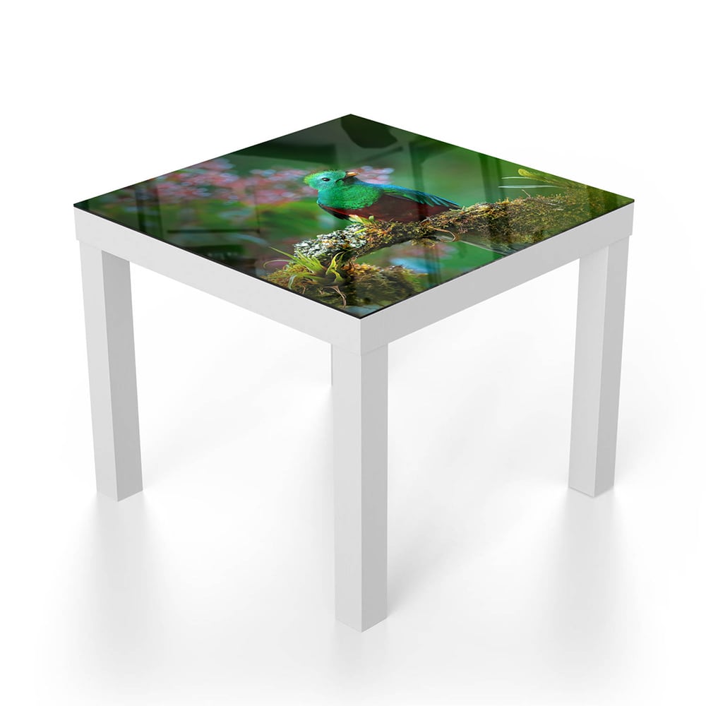 Salontafel 55x55 - Gehard Glas - Quetzal Vogel